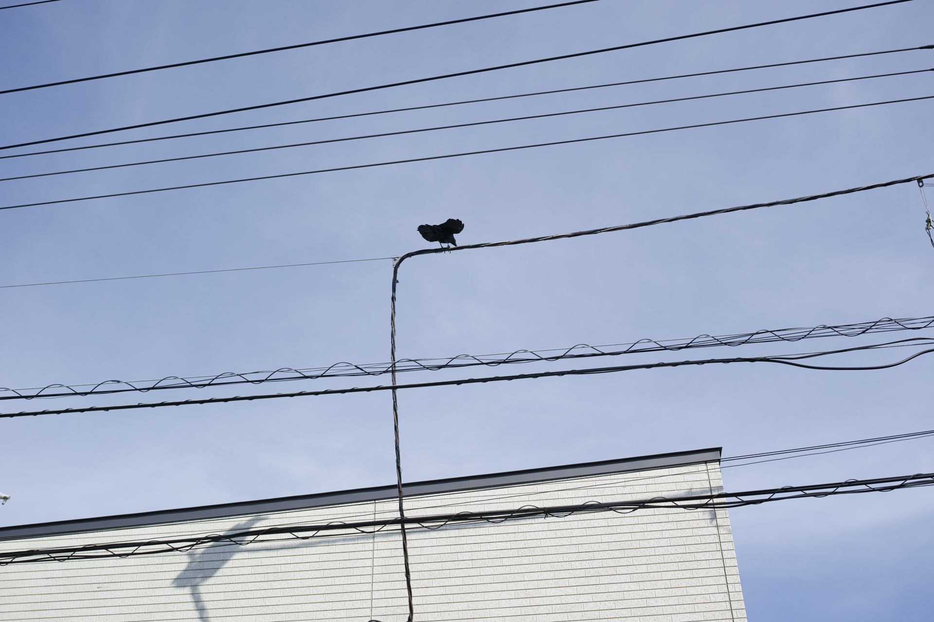 Residential Park_Img