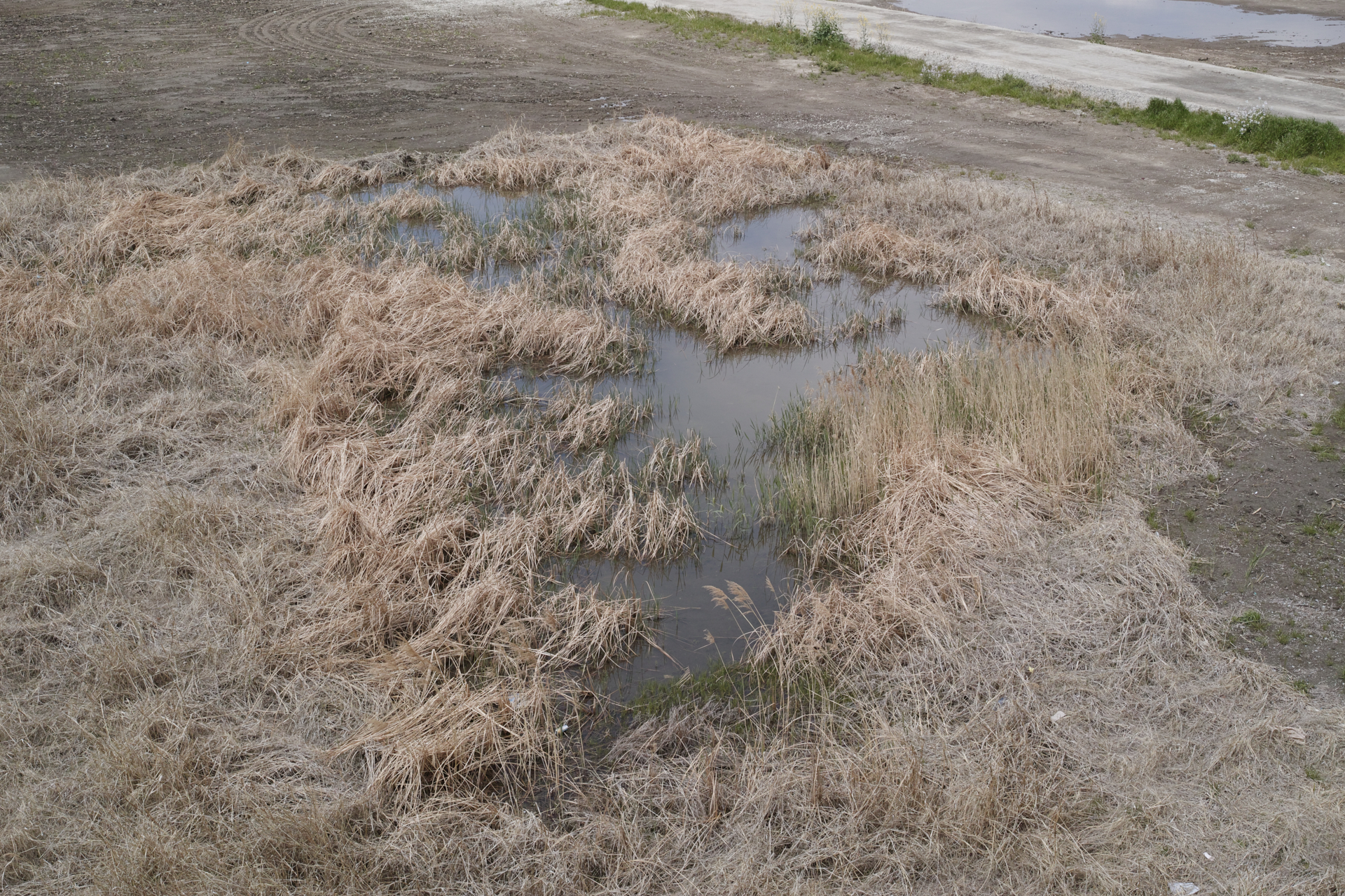 Residential Park_Img