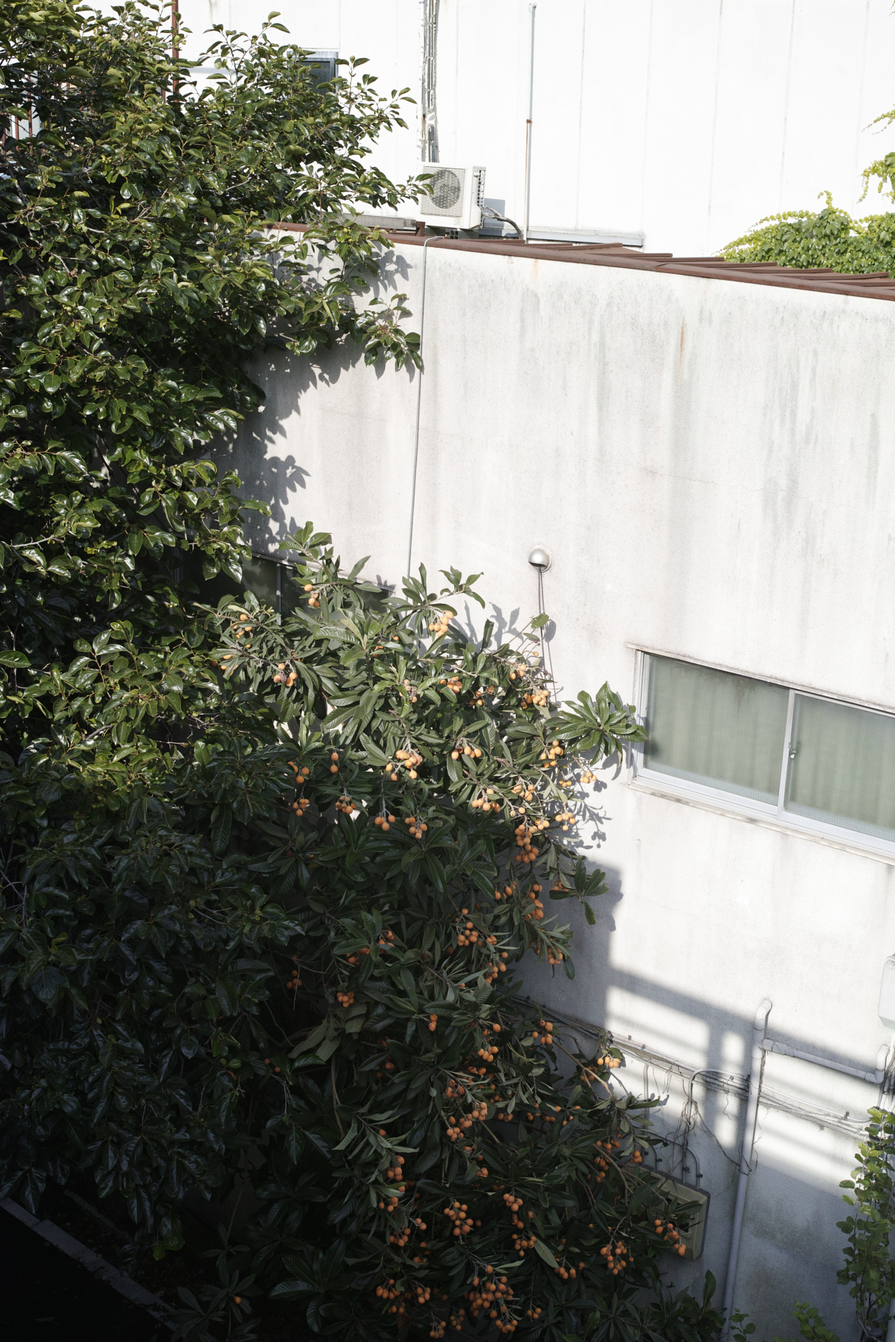 Residential Park_Img