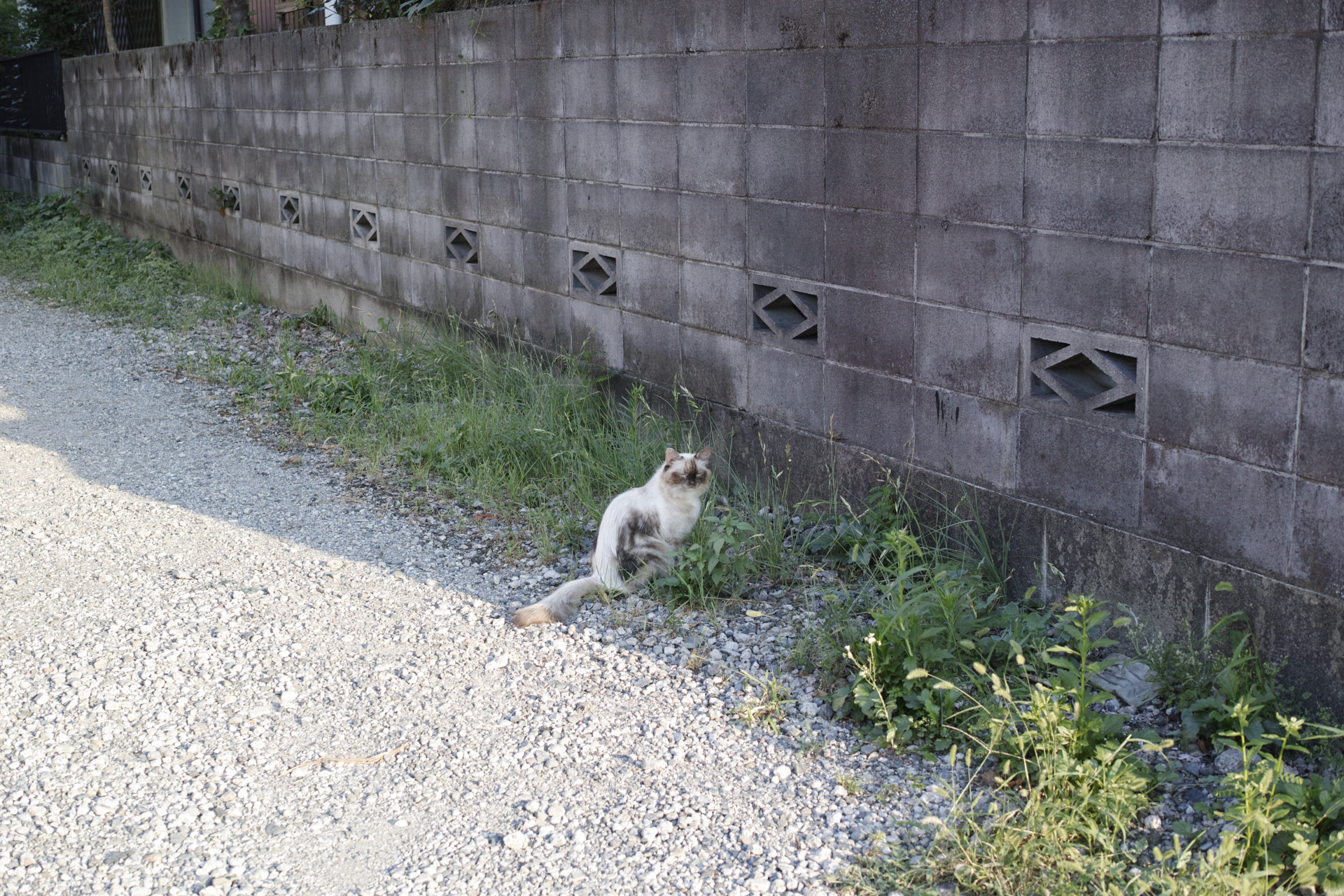 Residential Park_Img