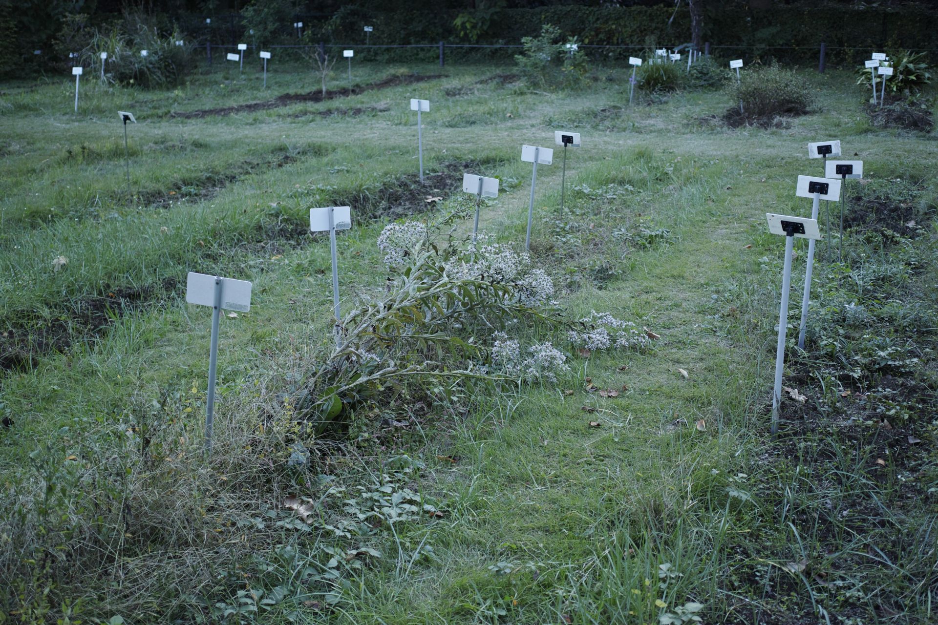 Residential Park_Img