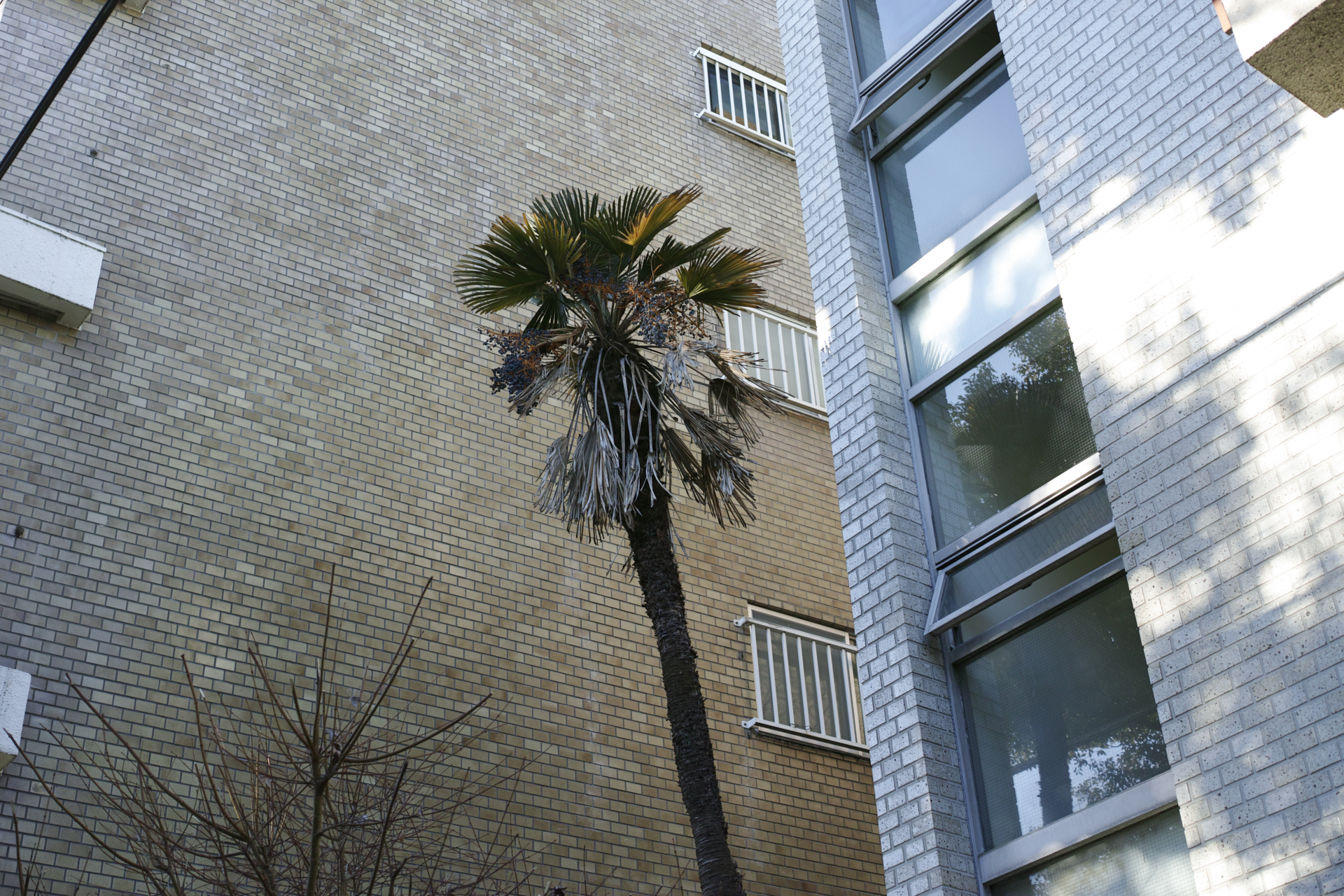 Residential Park_Img