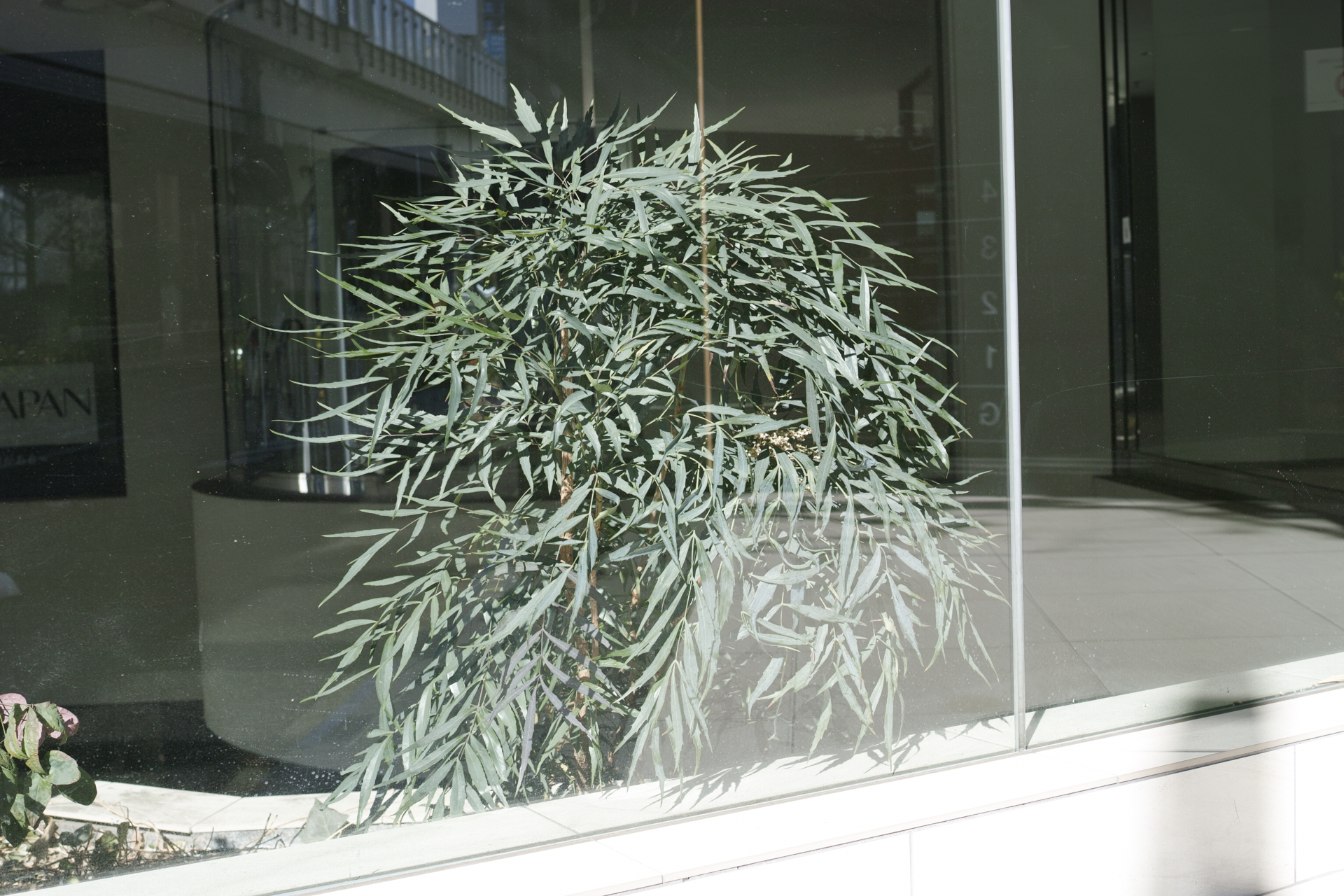 Residential Park_Img