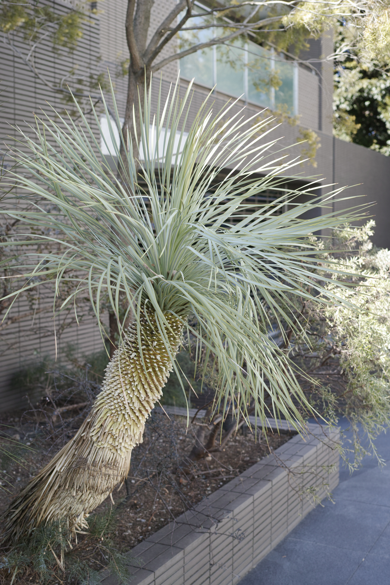 Residential Park_Img