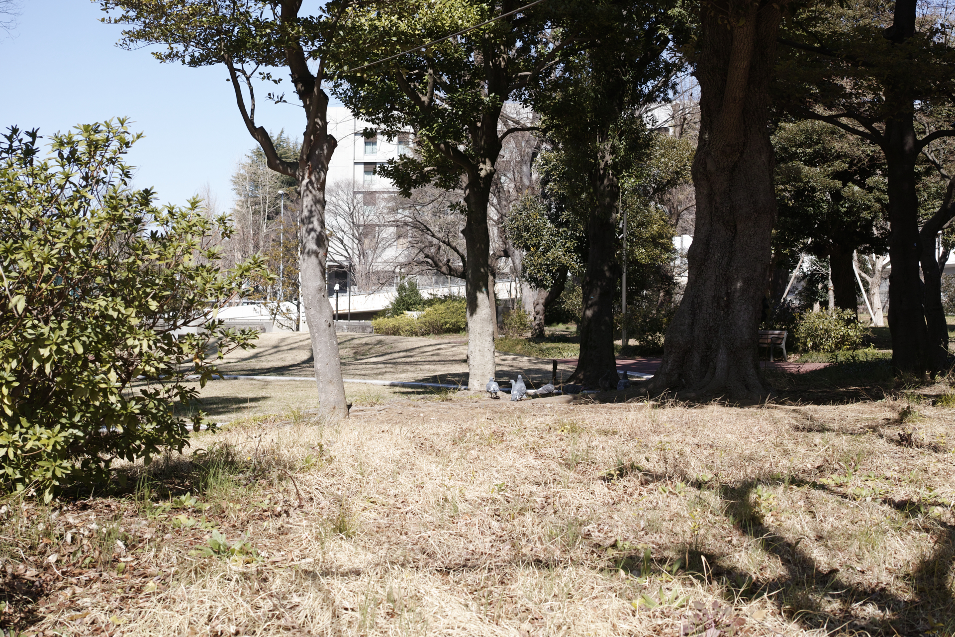 Residential Park_Img