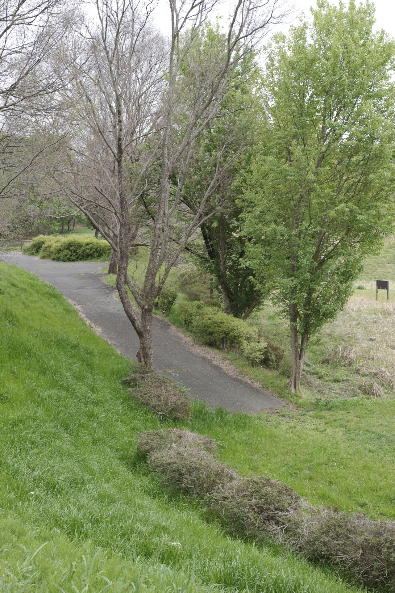 Residential Park_Img