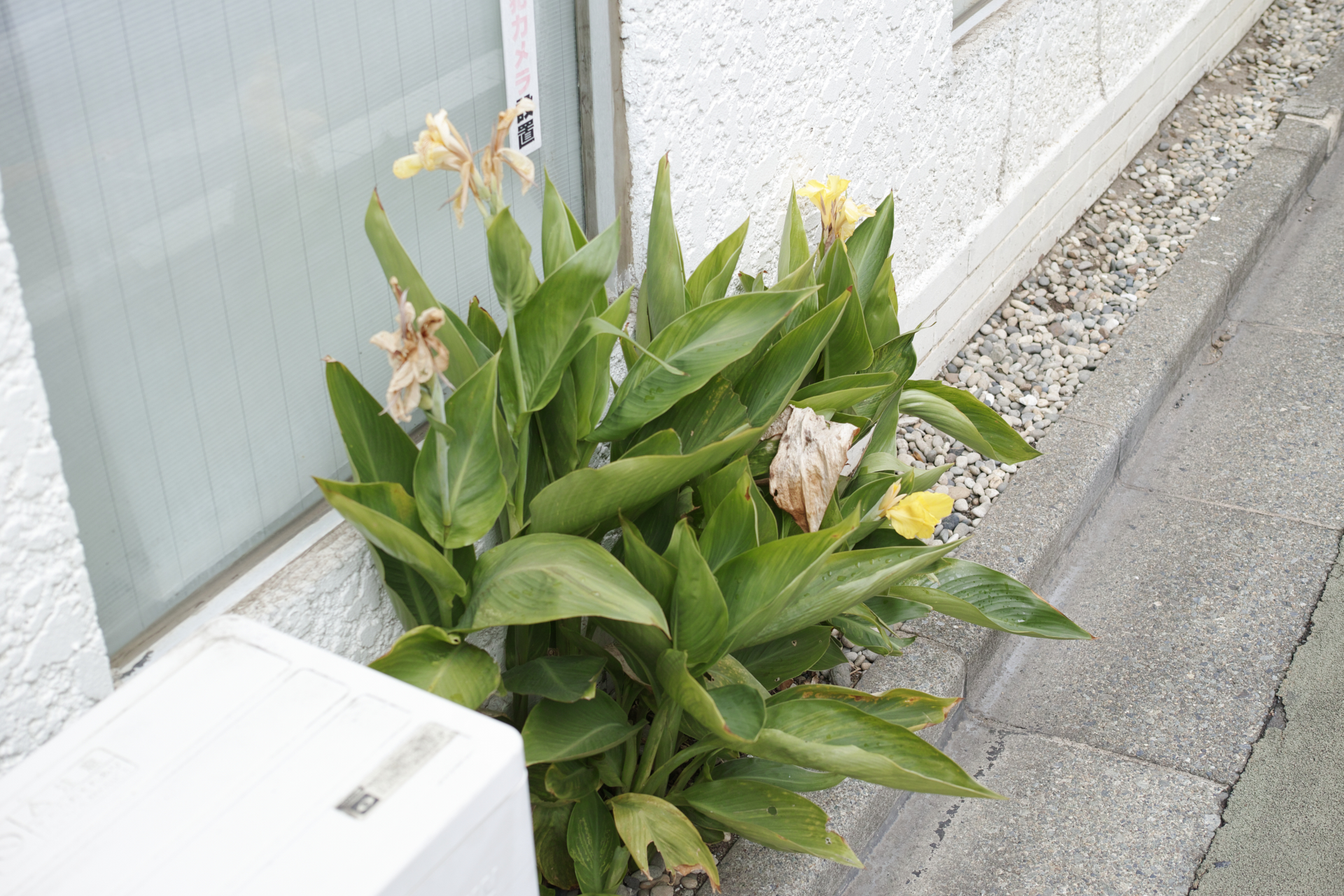 Residential Park_Img