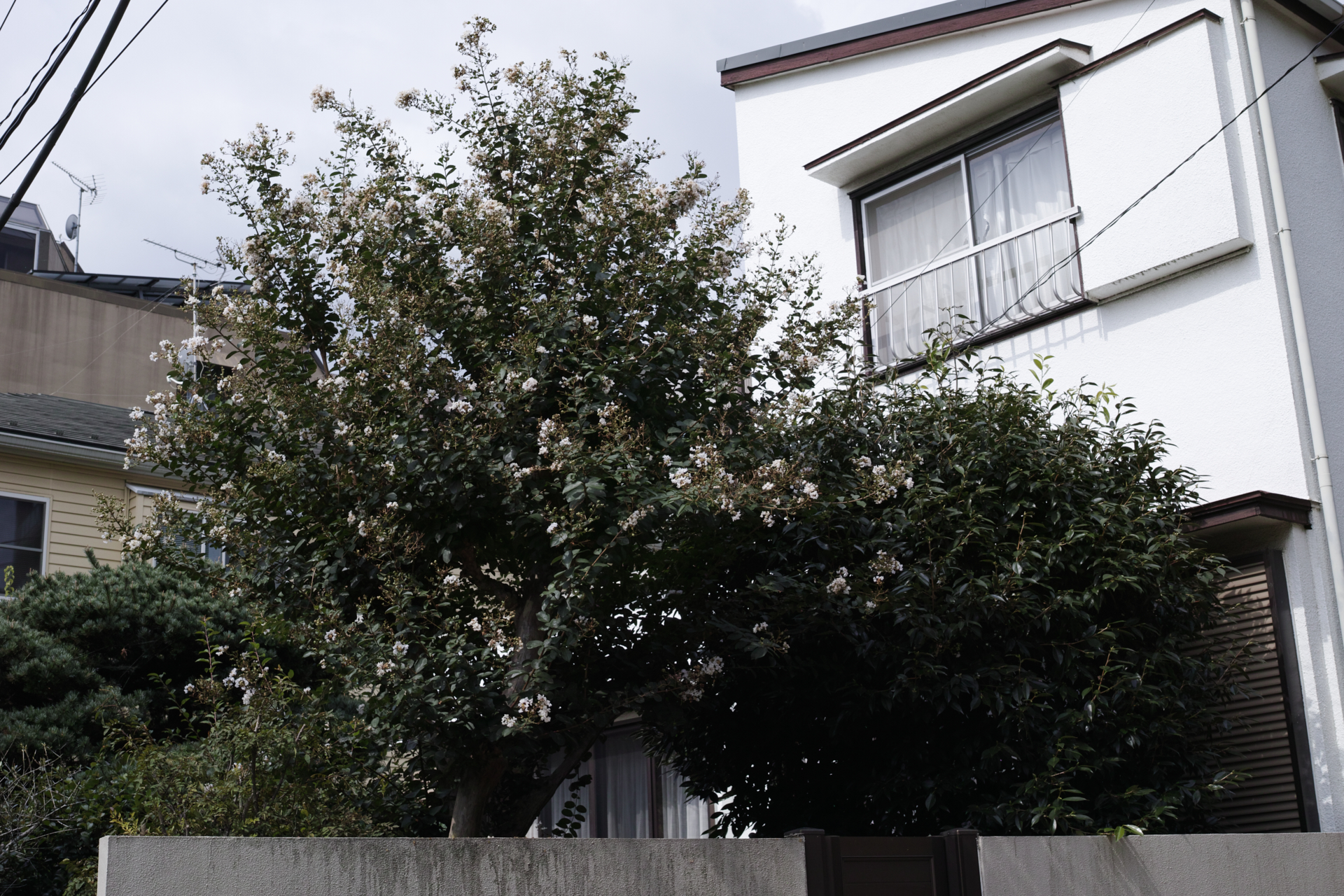 Residential Park_Img