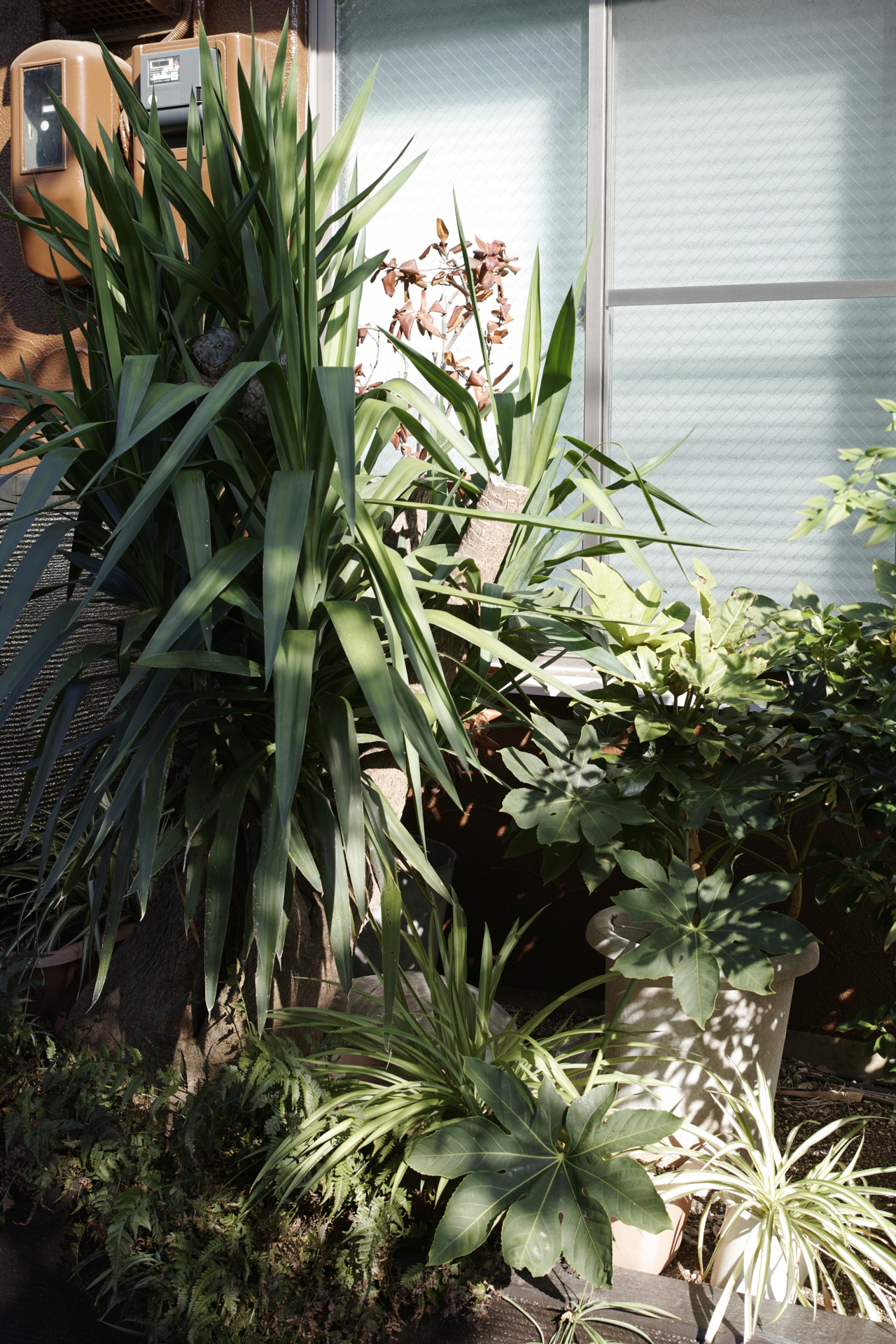 Residential Park_Img