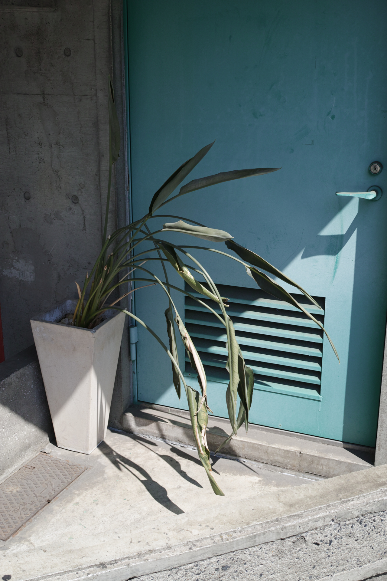 Residential Park_Img