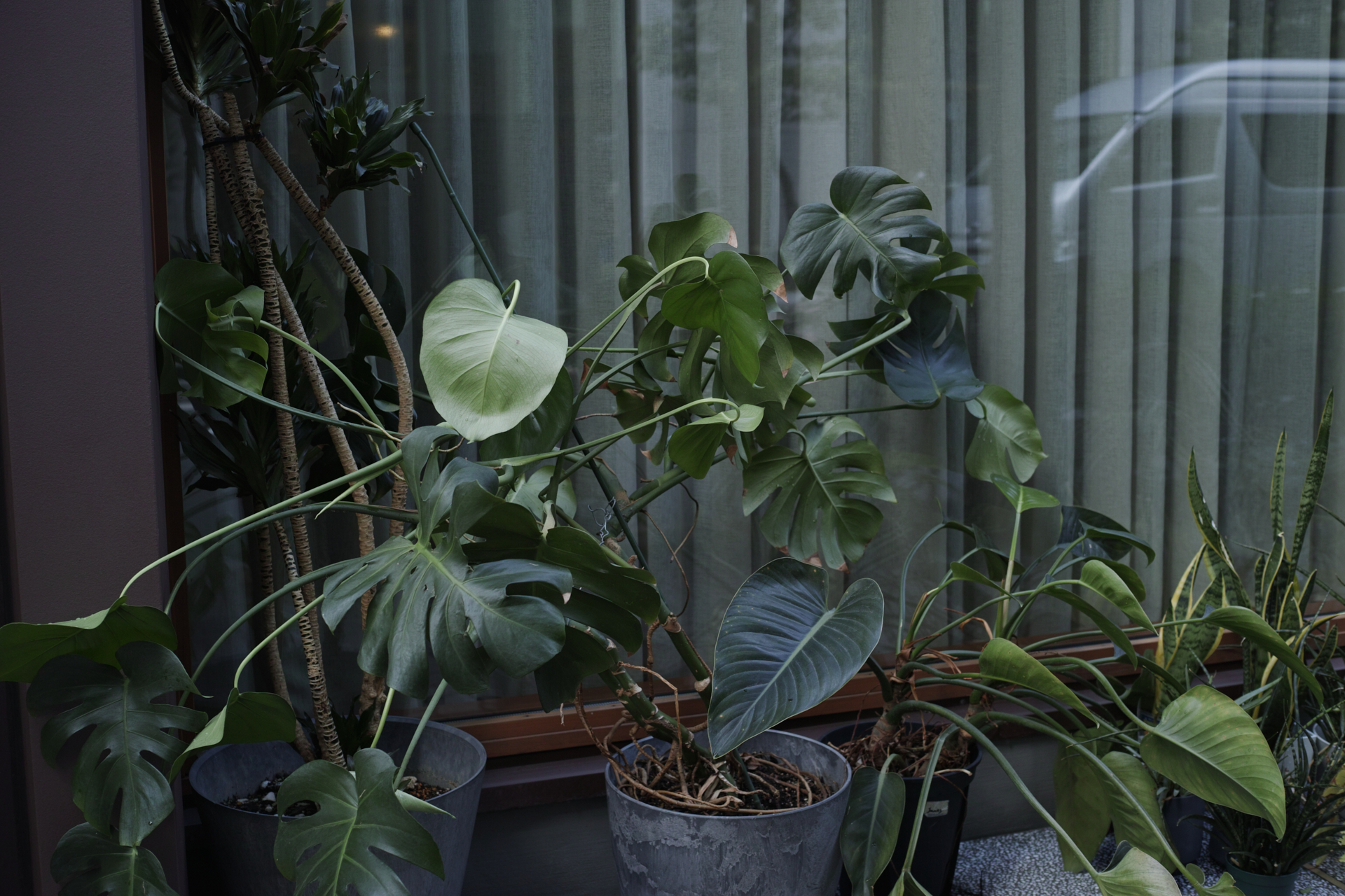 Residential Park_Img