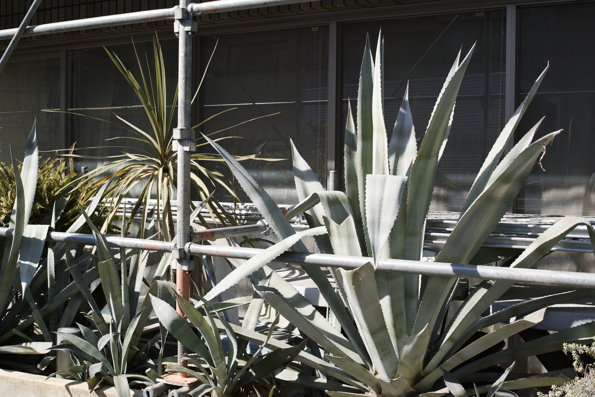 Residential Park_Img