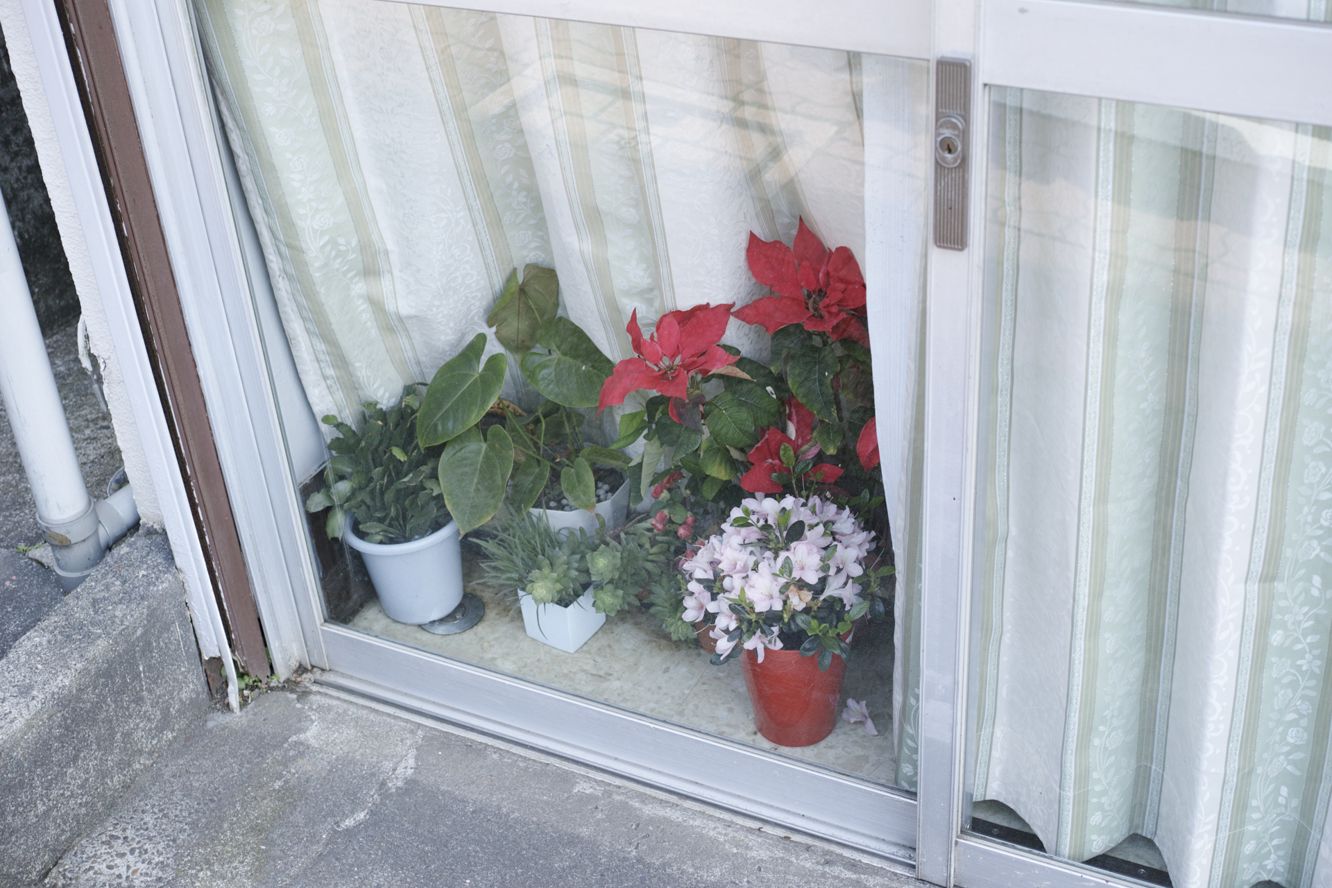 Residential Park_Img