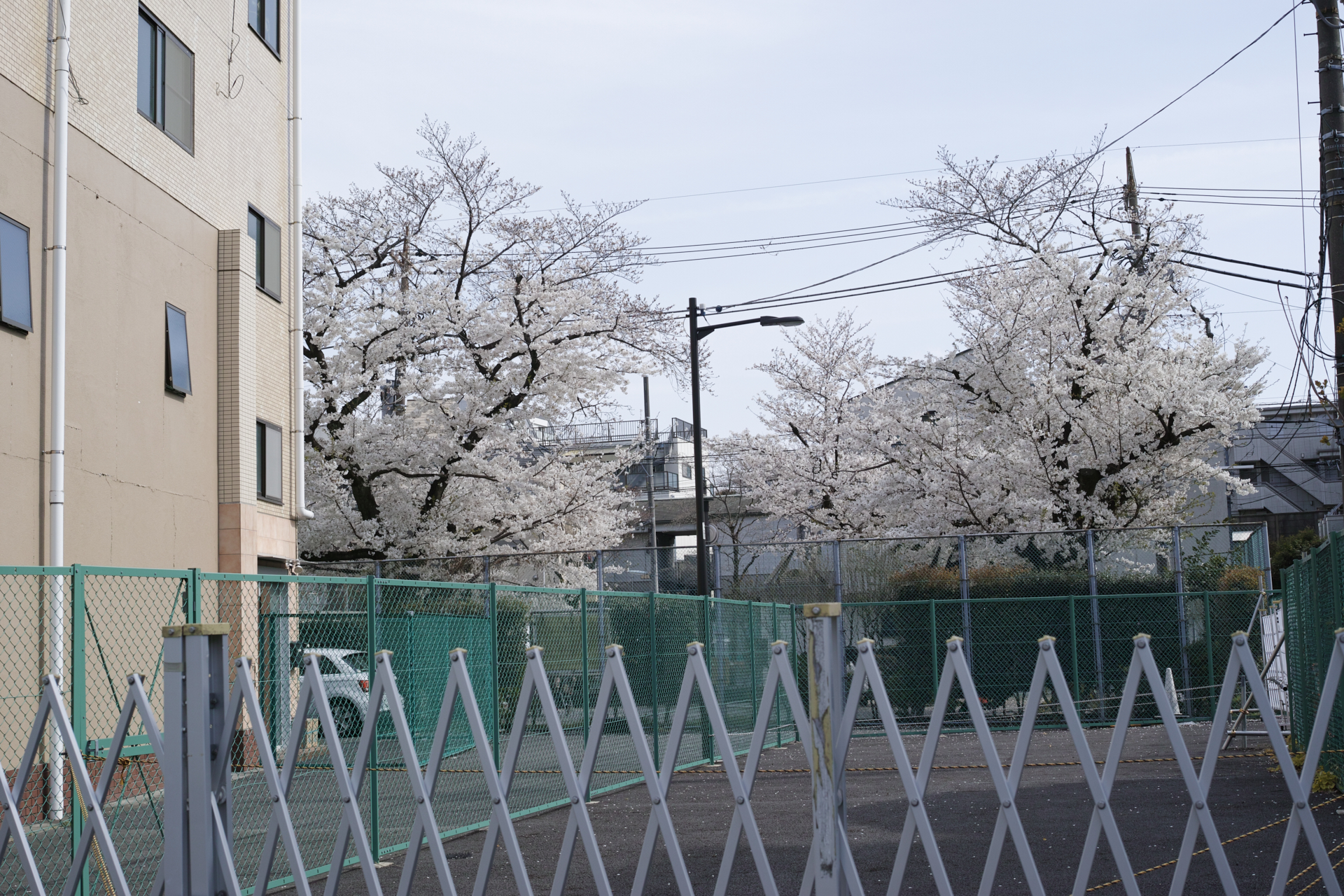 Residential Park_Img