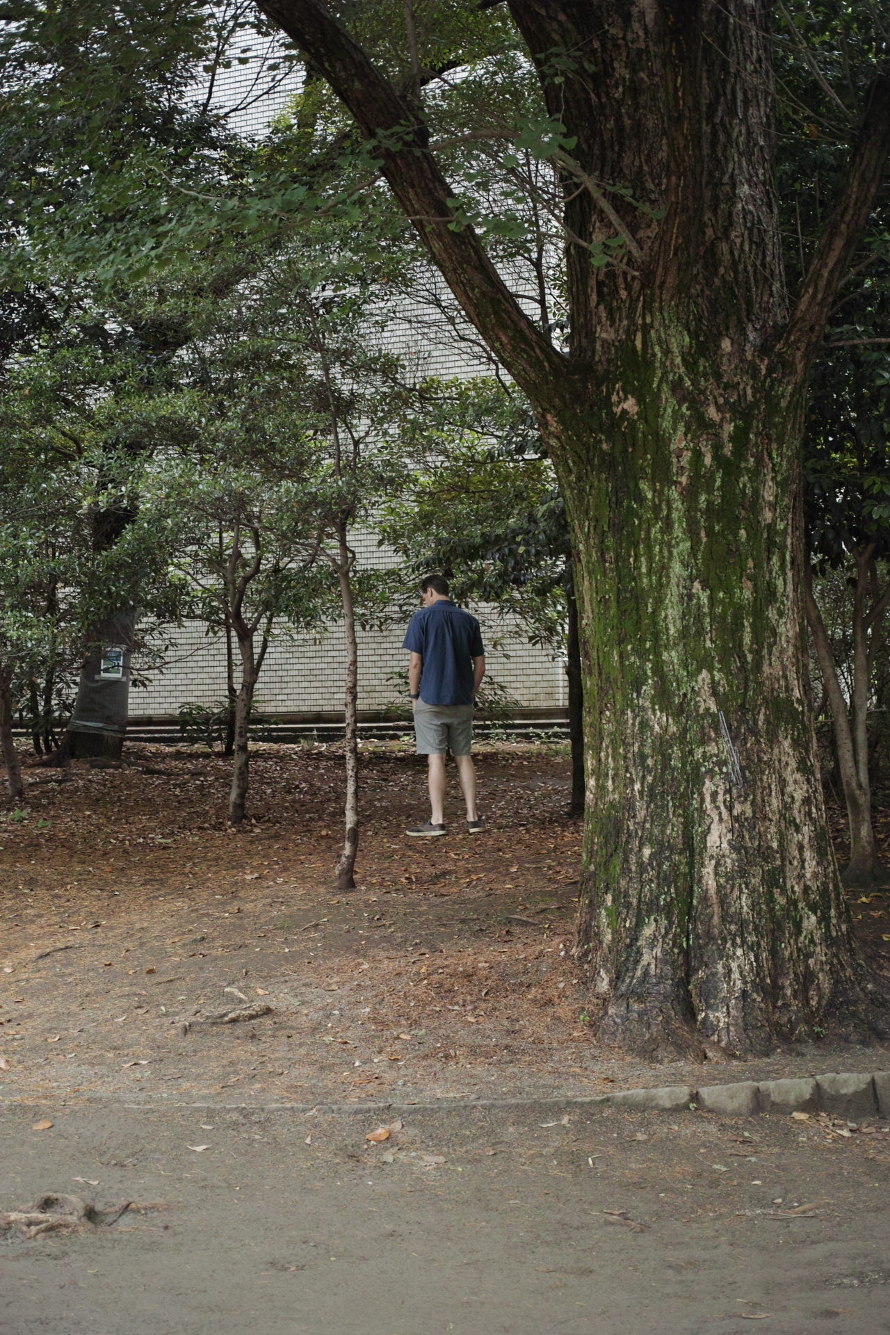 Residential Park_Img