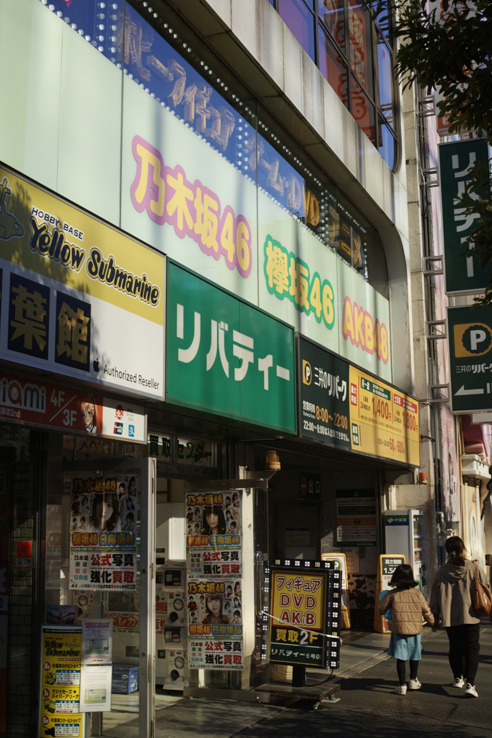 Ueno, Akihabara, Tateishi_Img