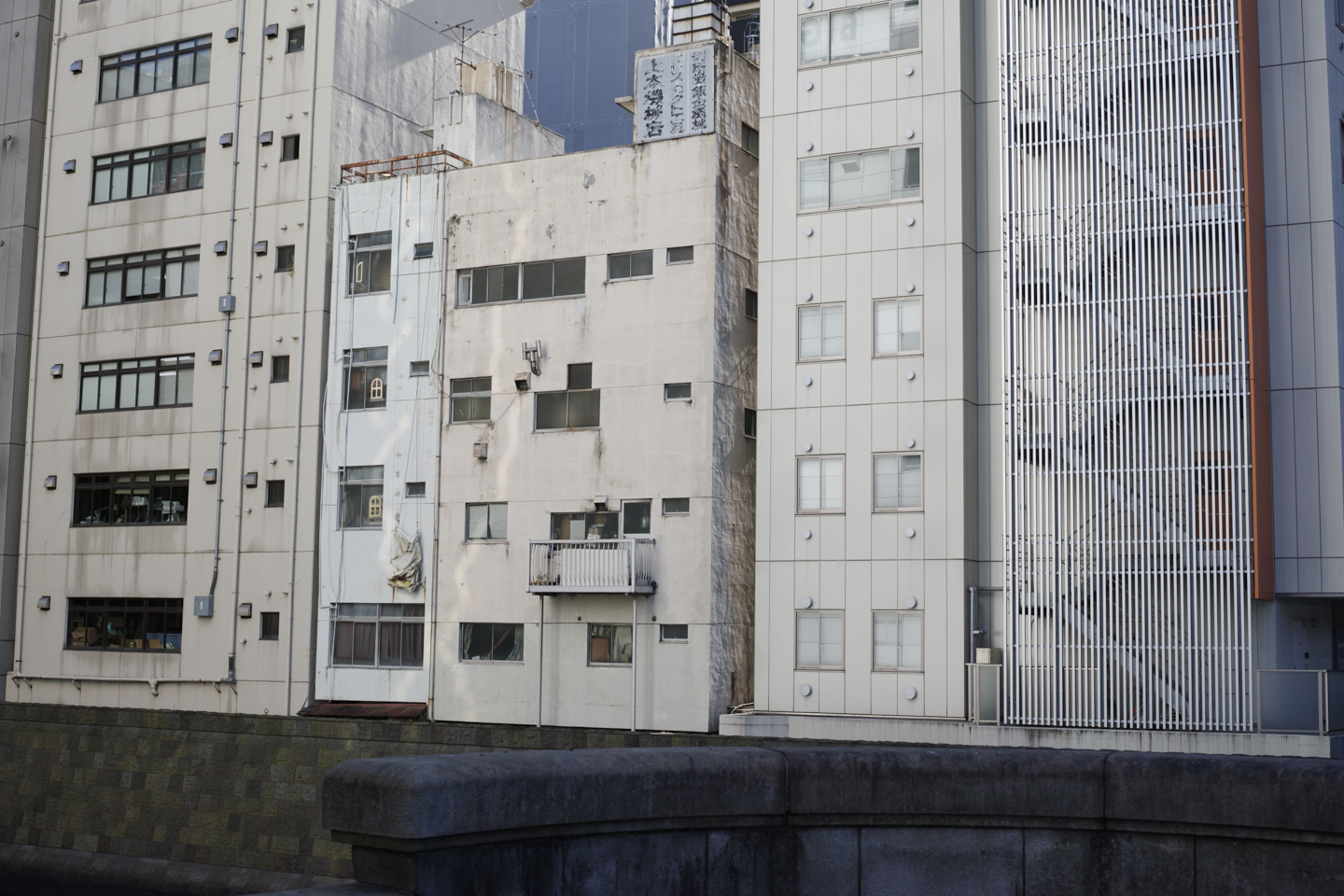 Ueno, Akihabara, Tateishi_Img