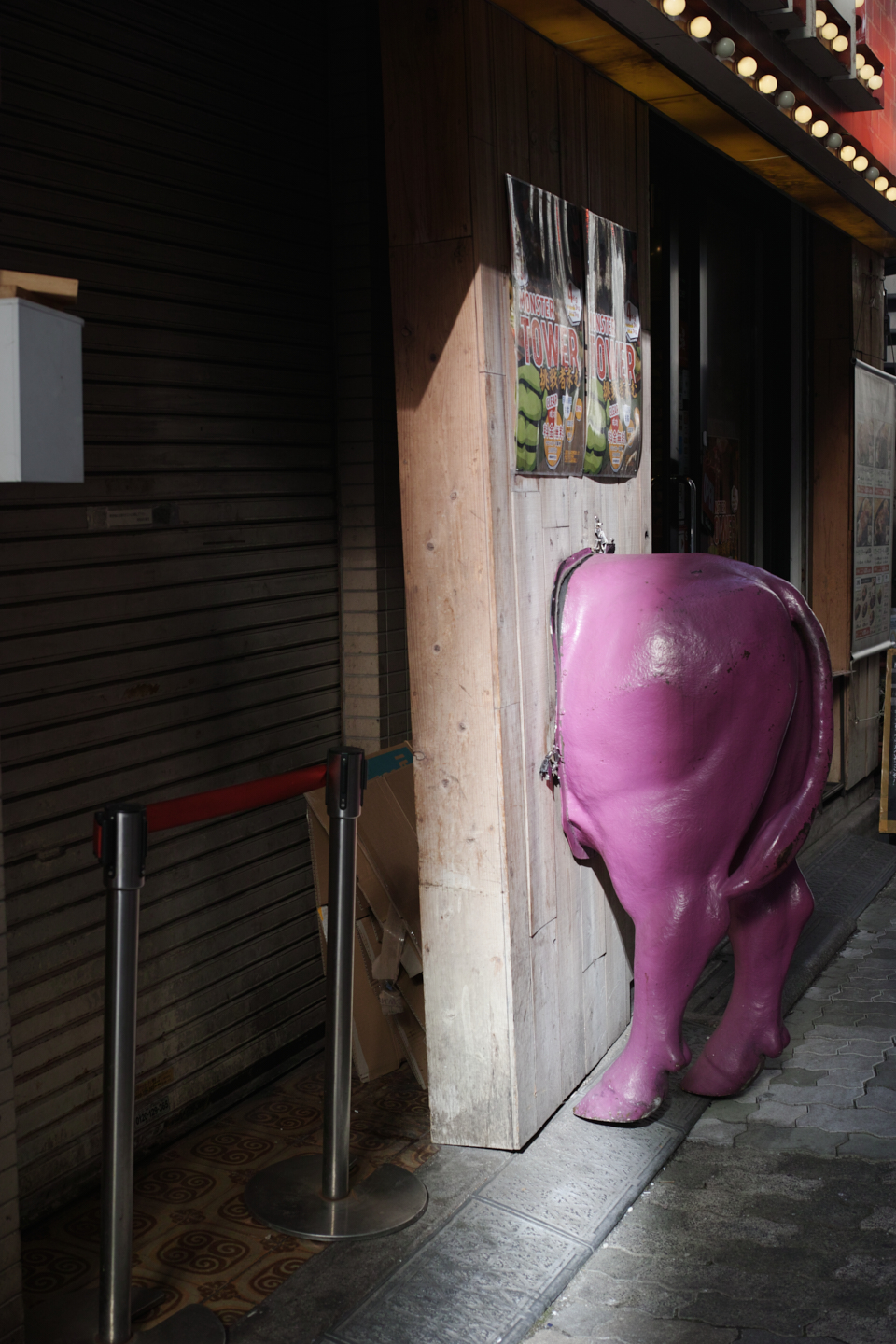 Ueno, Akihabara, Tateishi_Img