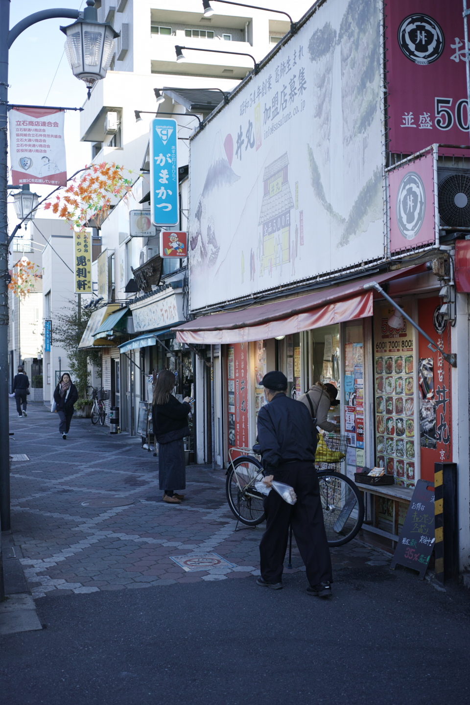 Ueno, Akihabara, Tateishi_Img