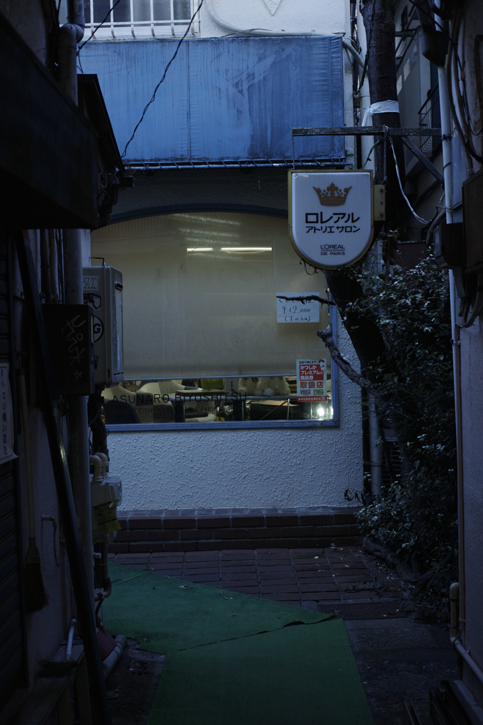 Ueno, Akihabara, Tateishi_Img