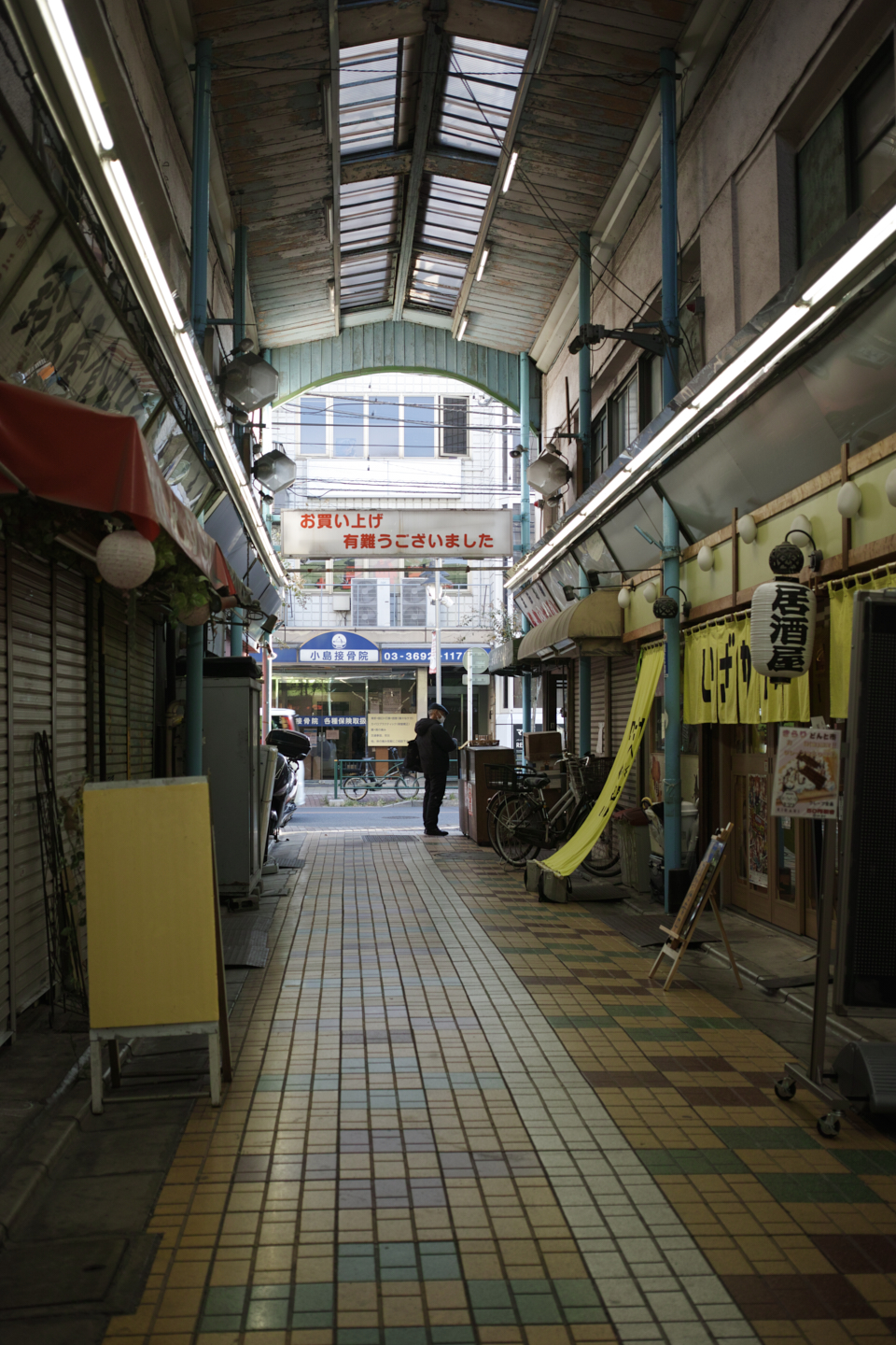 Ueno, Akihabara, Tateishi_Img