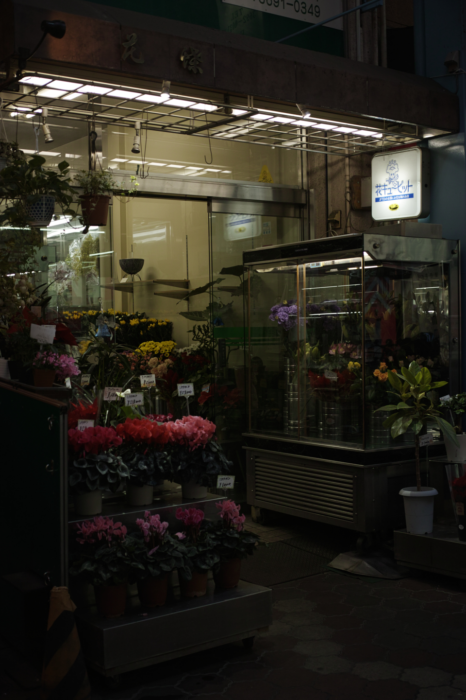 Ueno, Akihabara, Tateishi_Img