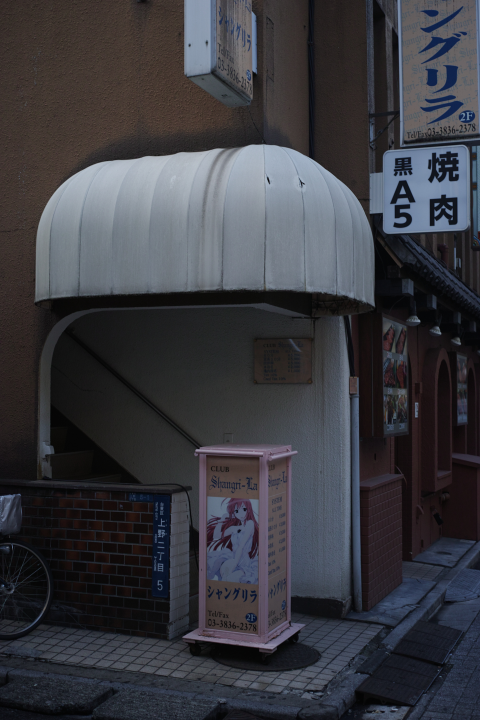 Ueno, Akihabara, Tateishi_Img