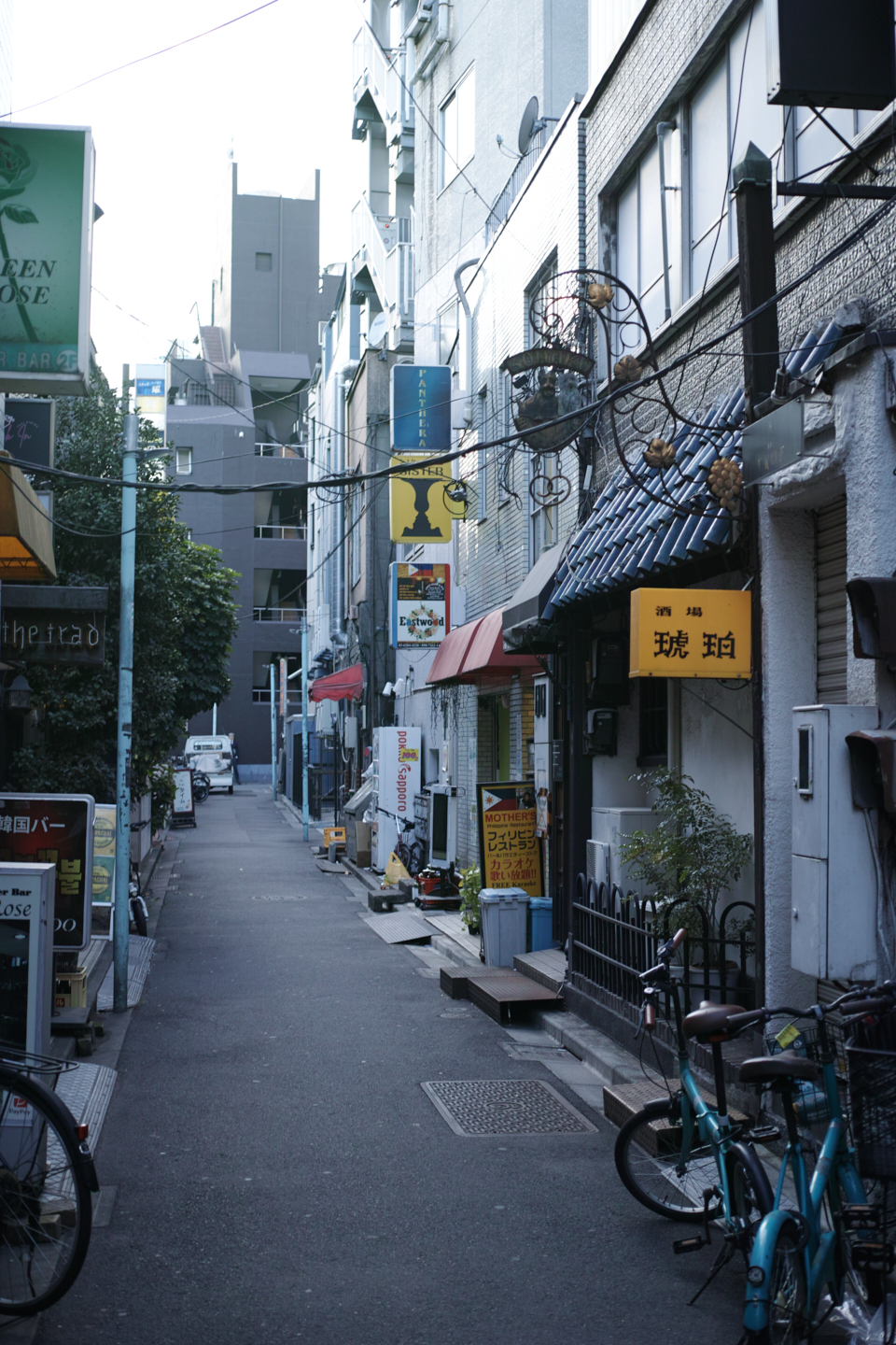 Ueno, Akihabara, Tateishi_Img