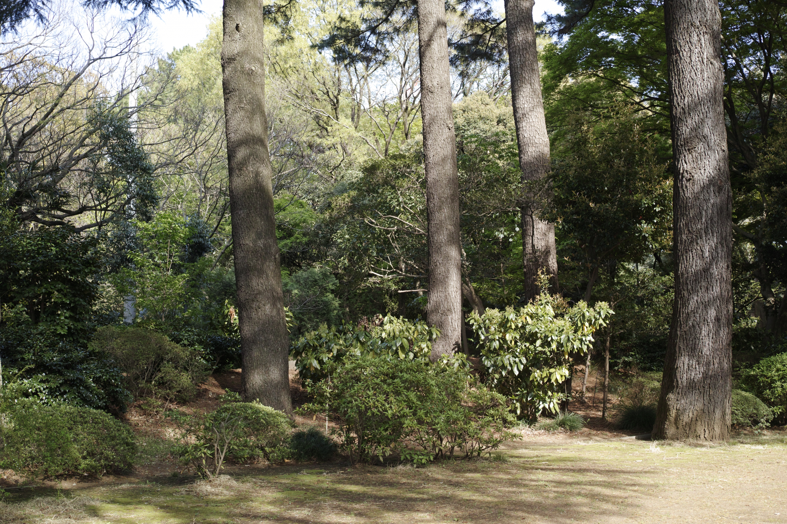 Meguro_Img