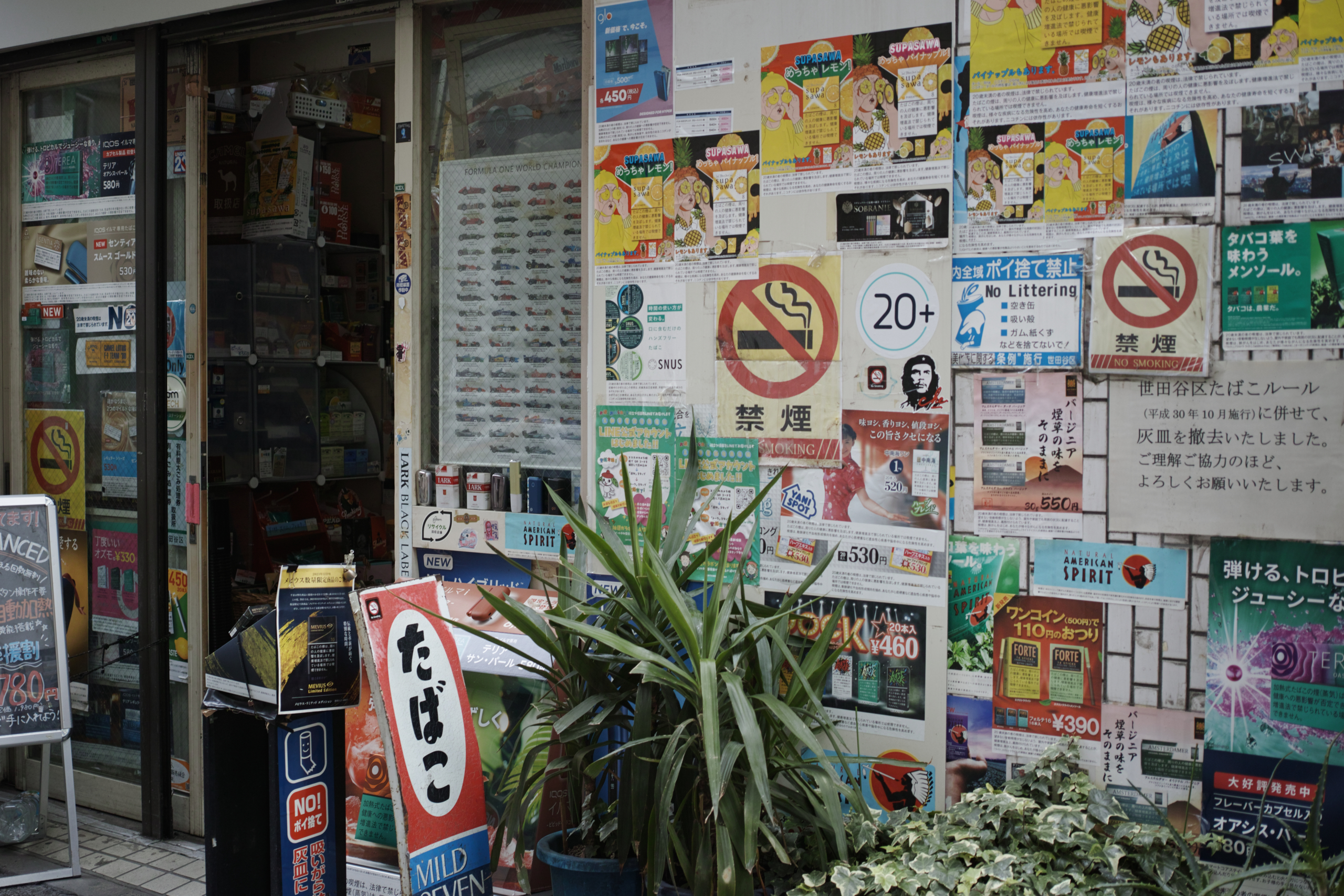 Sangenjaya, Ikejiri, Shibuya_Img