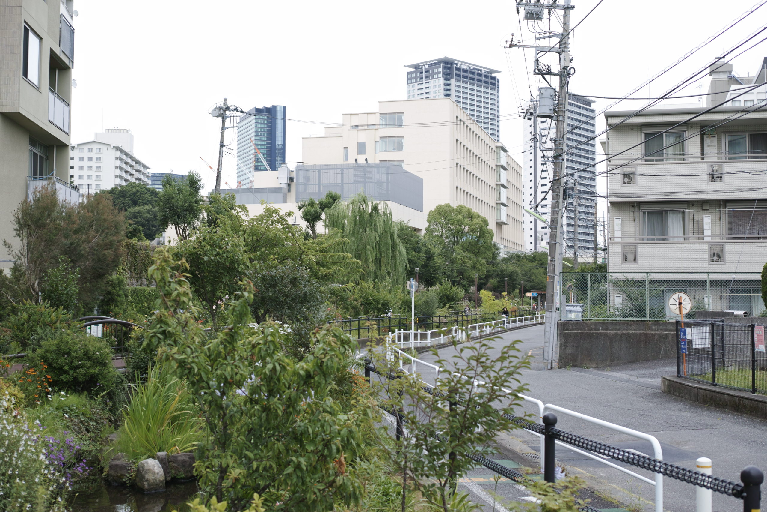 Sangenjaya, Ikejiri, Shibuya_Img