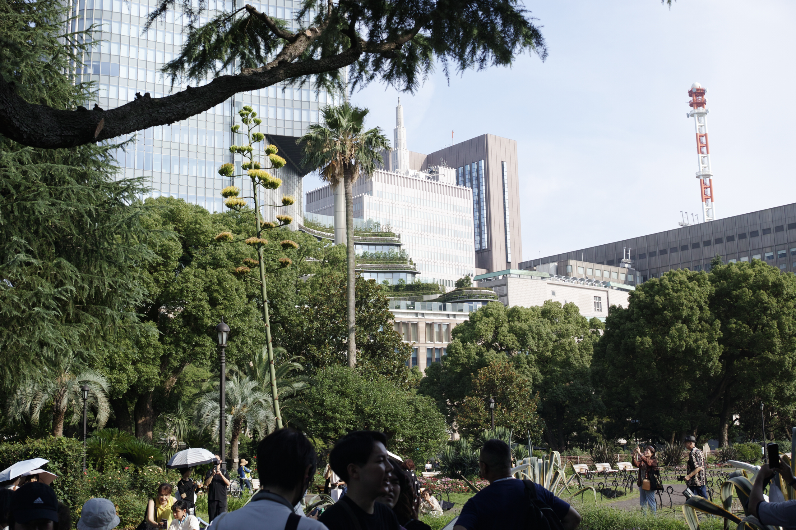 Nihonbashi, Hibiya, Ginza_Img