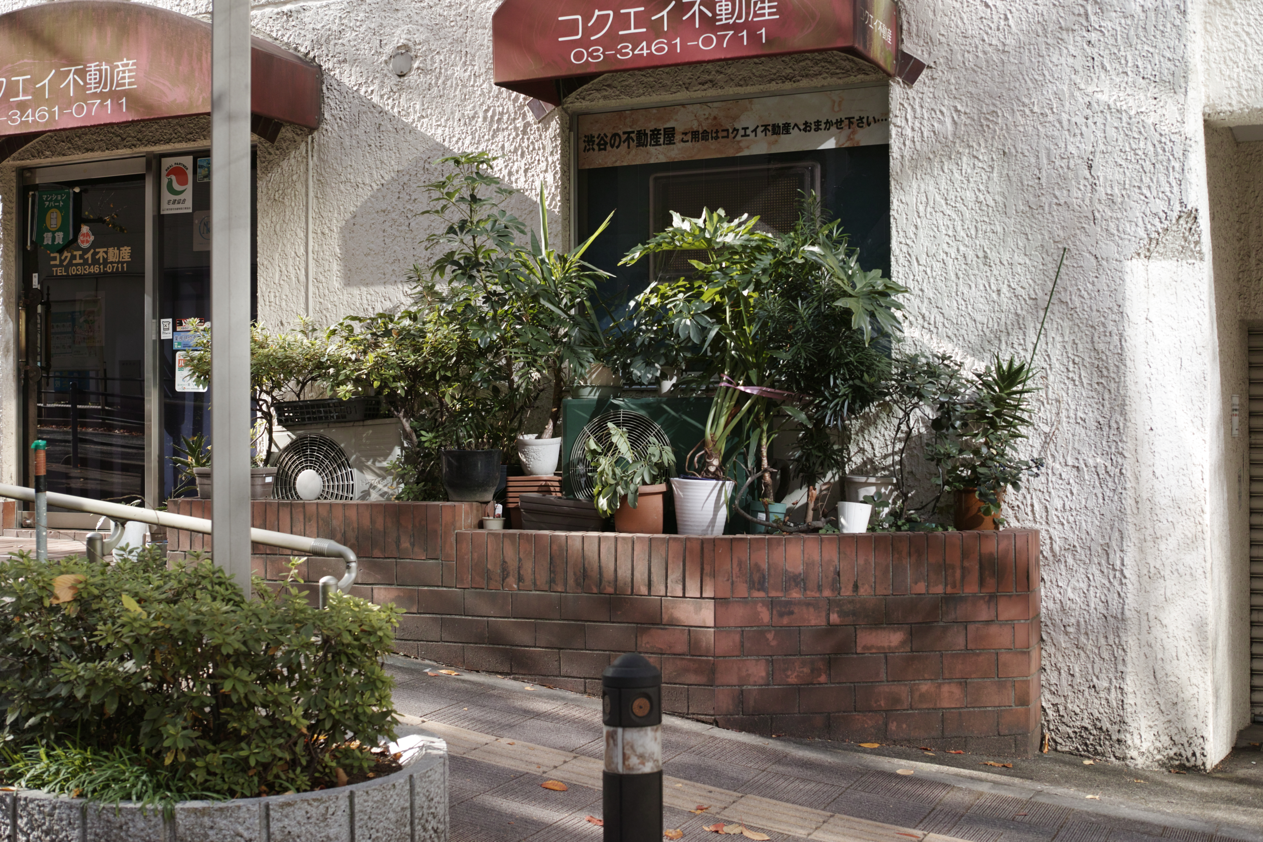 Shibuya, Harajuku, Sangubashi_Img