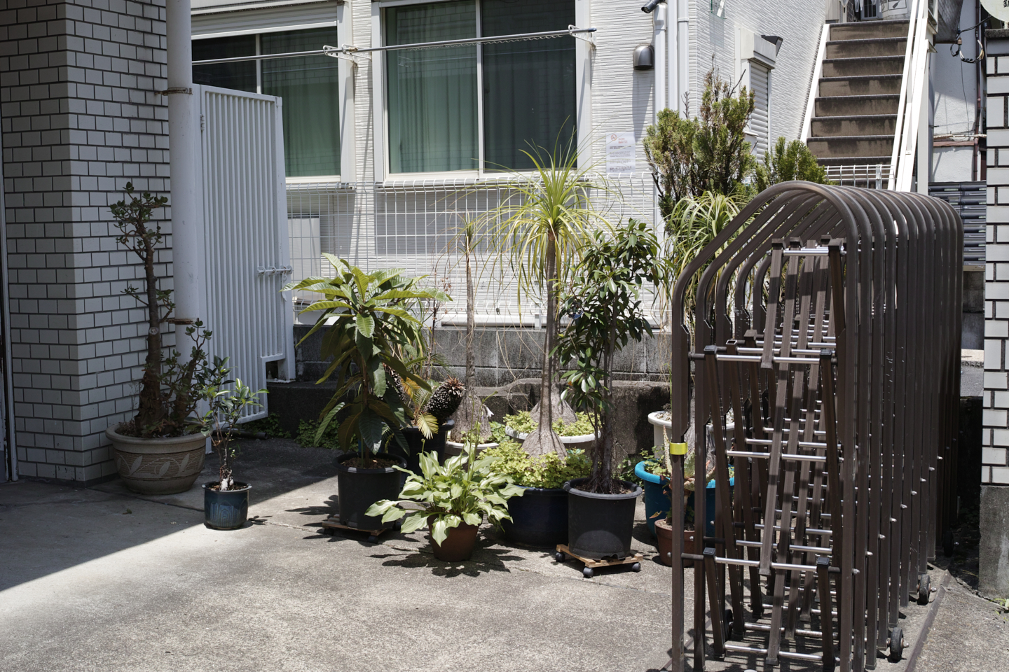 Okubo, Yoyogi, Shibuya_Img