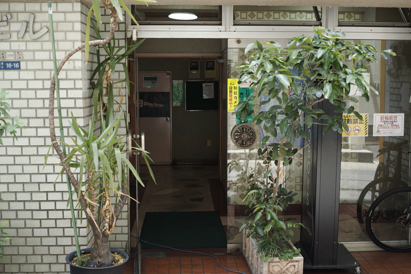 Okubo, Yoyogi, Shibuya_Img