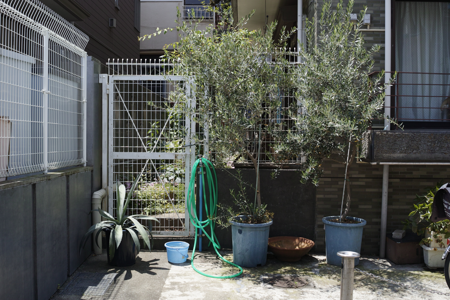 Okubo, Yoyogi, Shibuya_Img