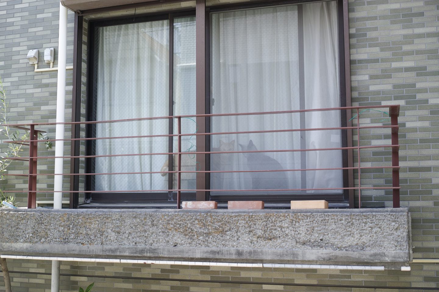 Okubo, Yoyogi, Shibuya_Img