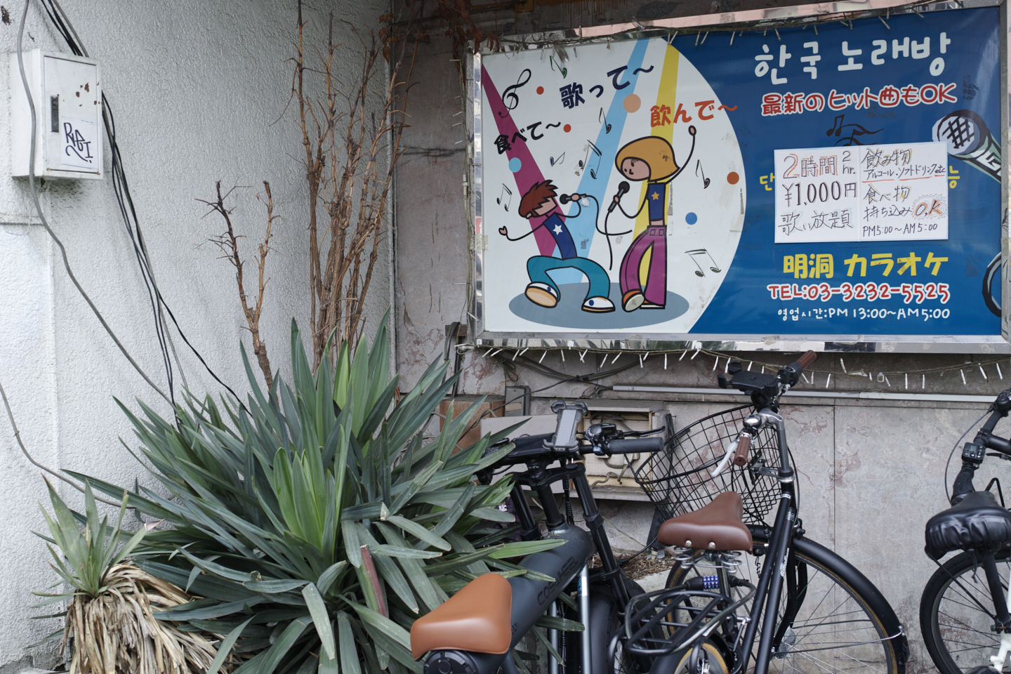 Okubo, Yoyogi, Shibuya_Img