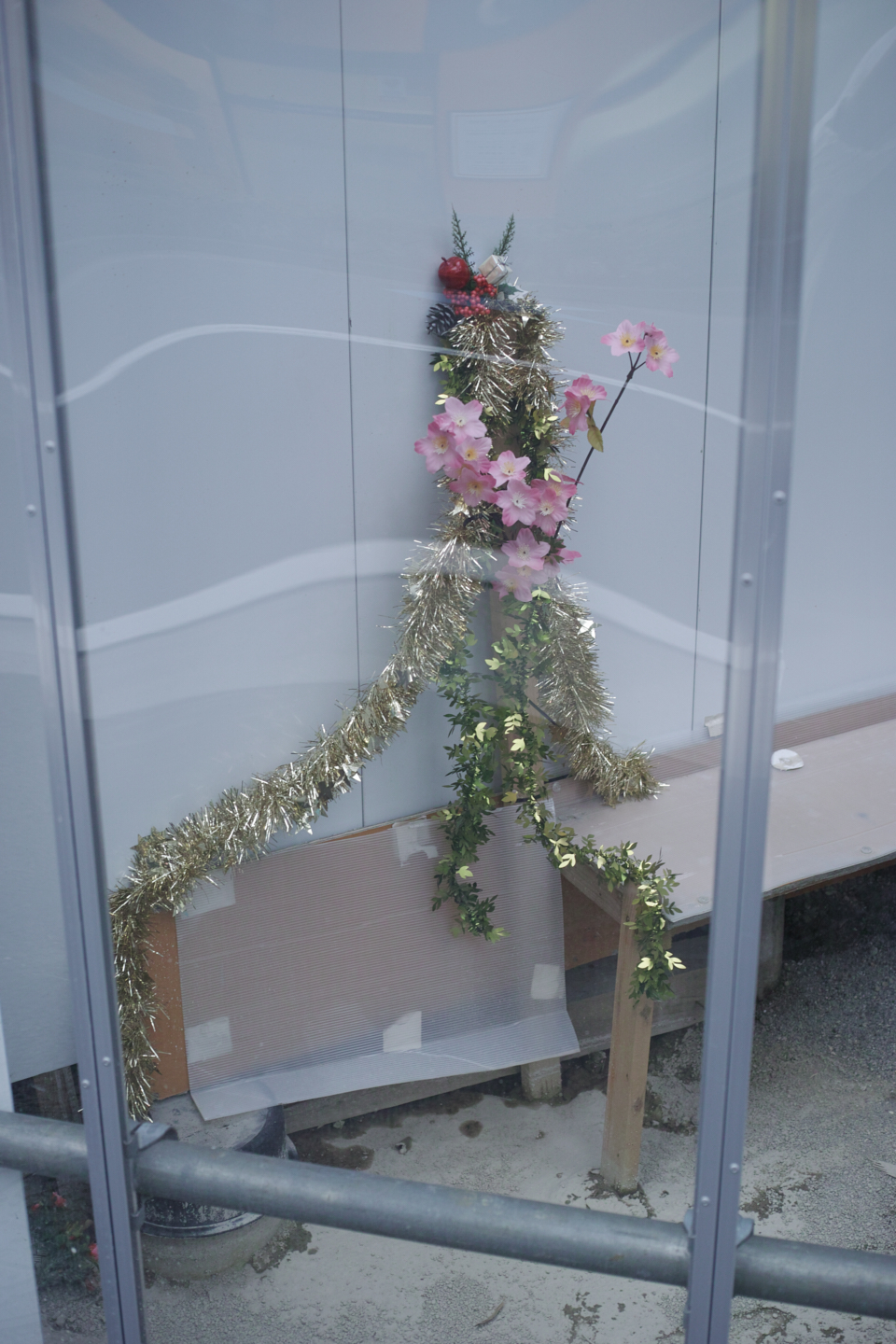 Okubo, Yoyogi, Shibuya_Img