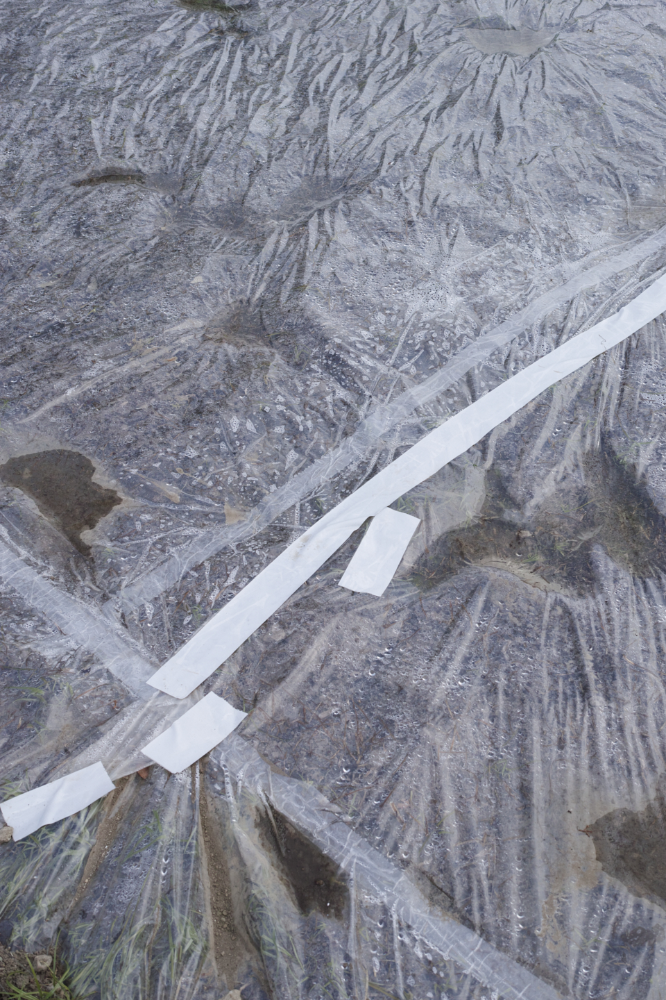 Akasaka, Shiodome, Hibiya, Sendagaya_Img