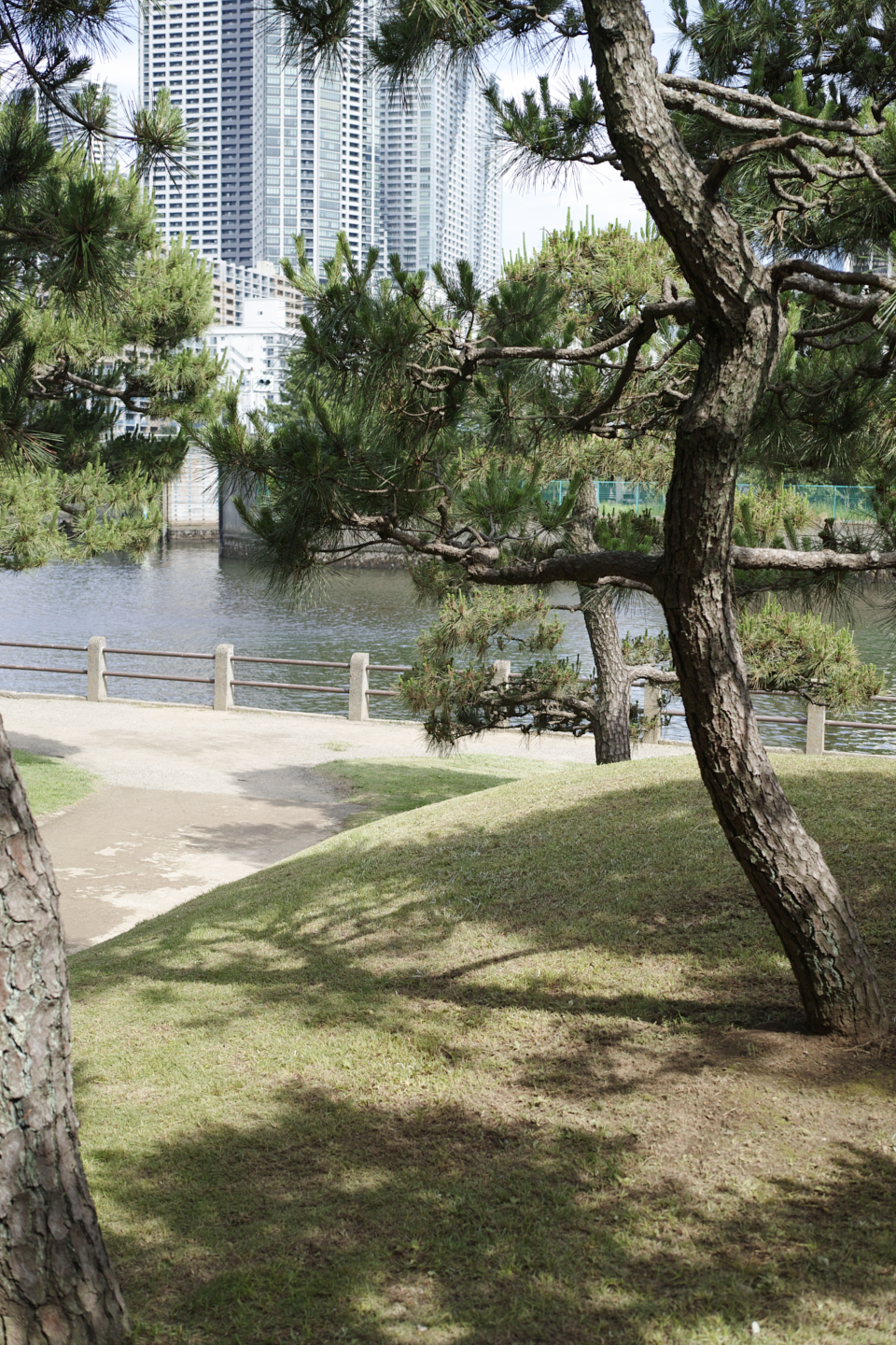 Akasaka, Shiodome, Hibiya, Sendagaya_Img