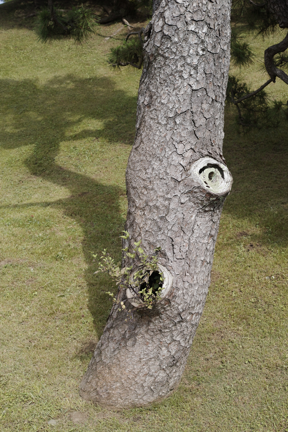 Akasaka, Shiodome, Hibiya, Sendagaya_Img