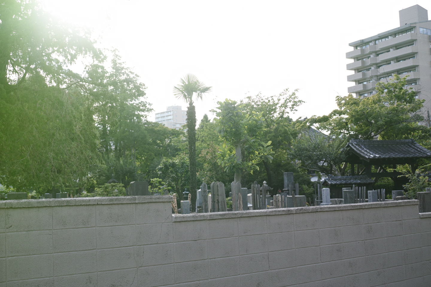 Akasaka, Shiodome, Hibiya, Sendagaya_Img