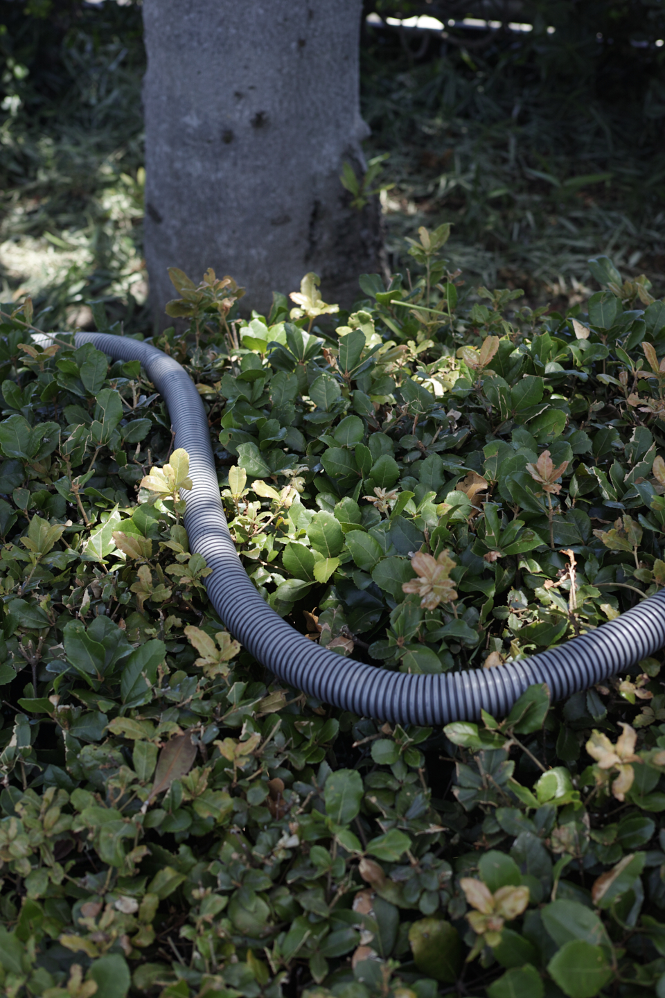 Yokosuka, Kanazawa-Bunko_Img