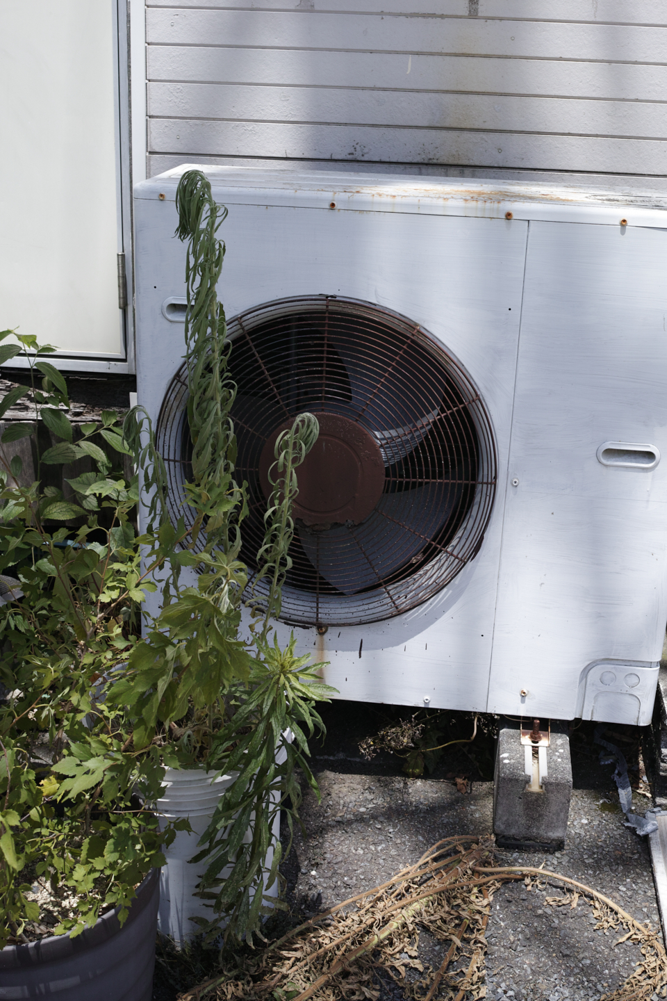 Yokosuka, Kanazawa-Bunko_Img