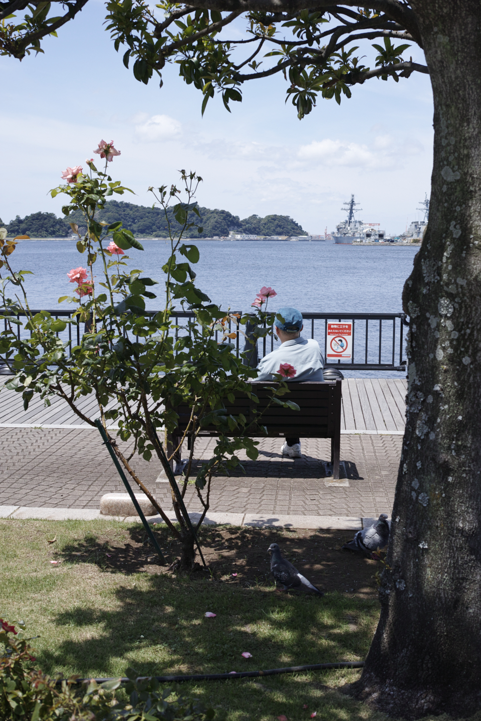 Yokosuka, Kanazawa-Bunko_Img