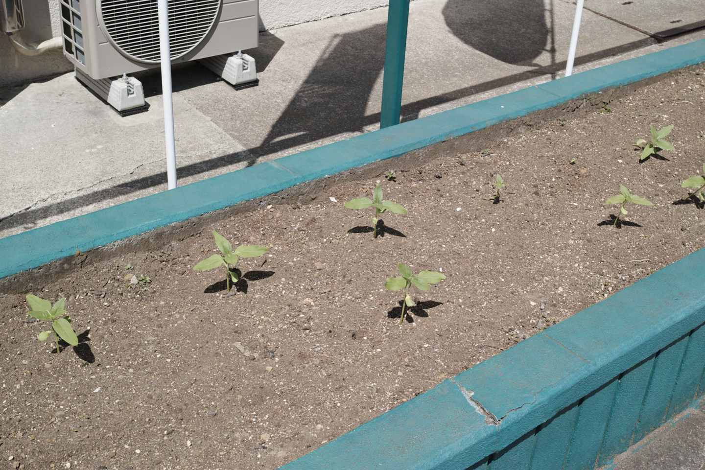 Yokosuka, Kanazawa-Bunko_Img