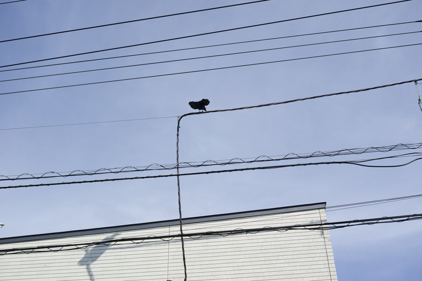 Yokosuka, Kanazawa-Bunko_Img