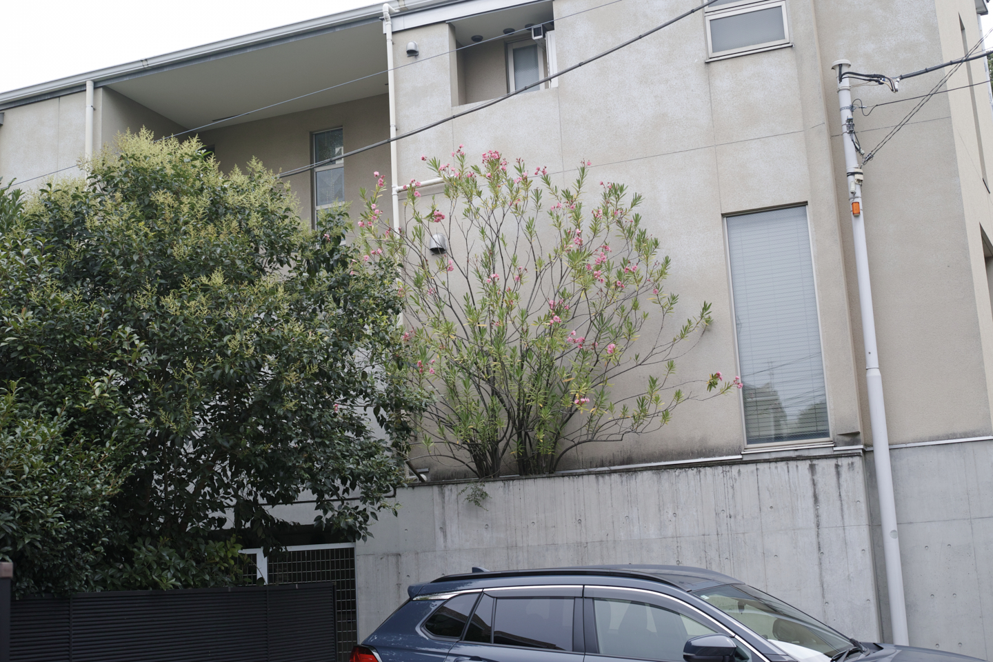 Yoyogi-Uehara, Nihombashi, Kanda_Img