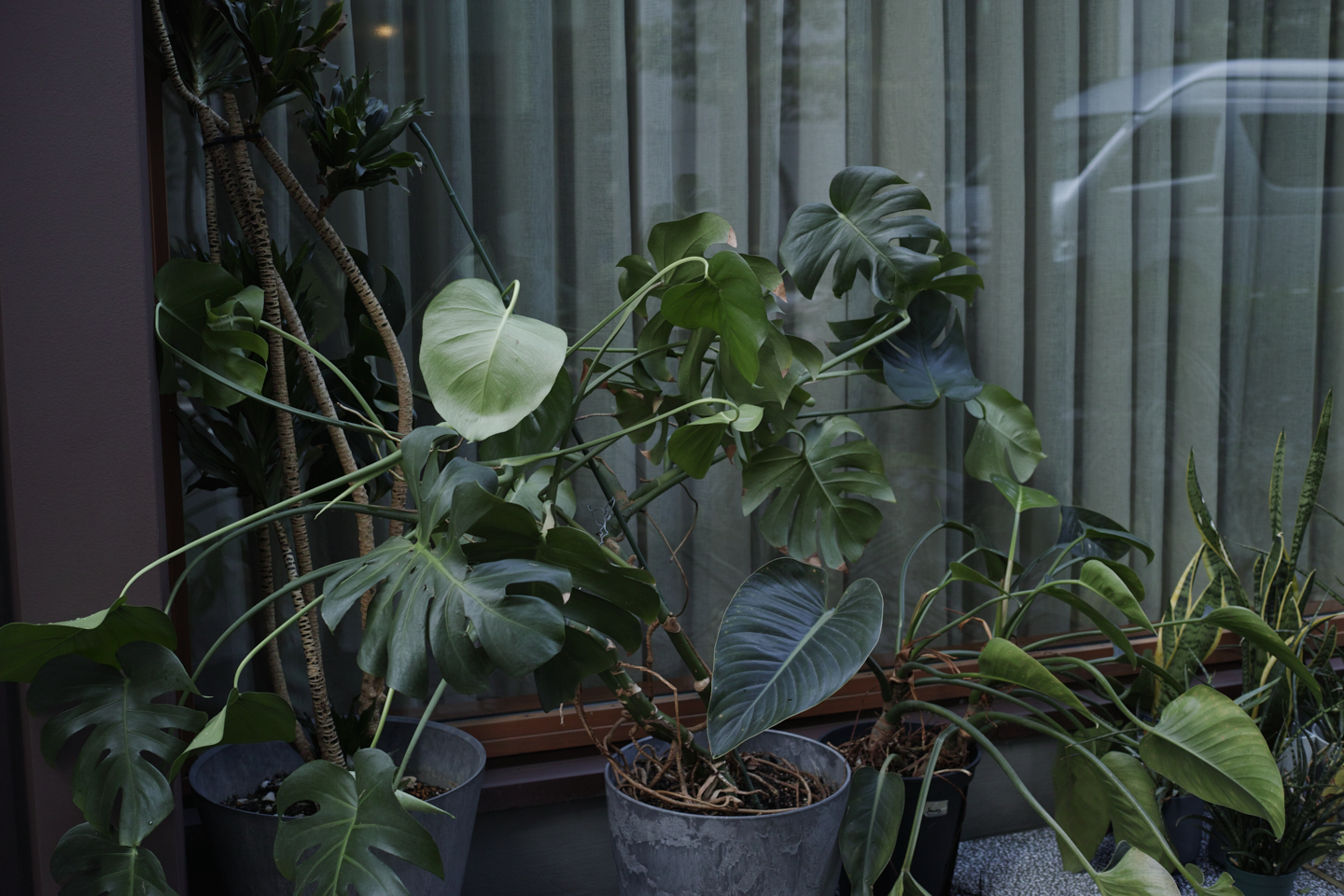 Yoyogi-Uehara, Nihombashi, Kanda_Img